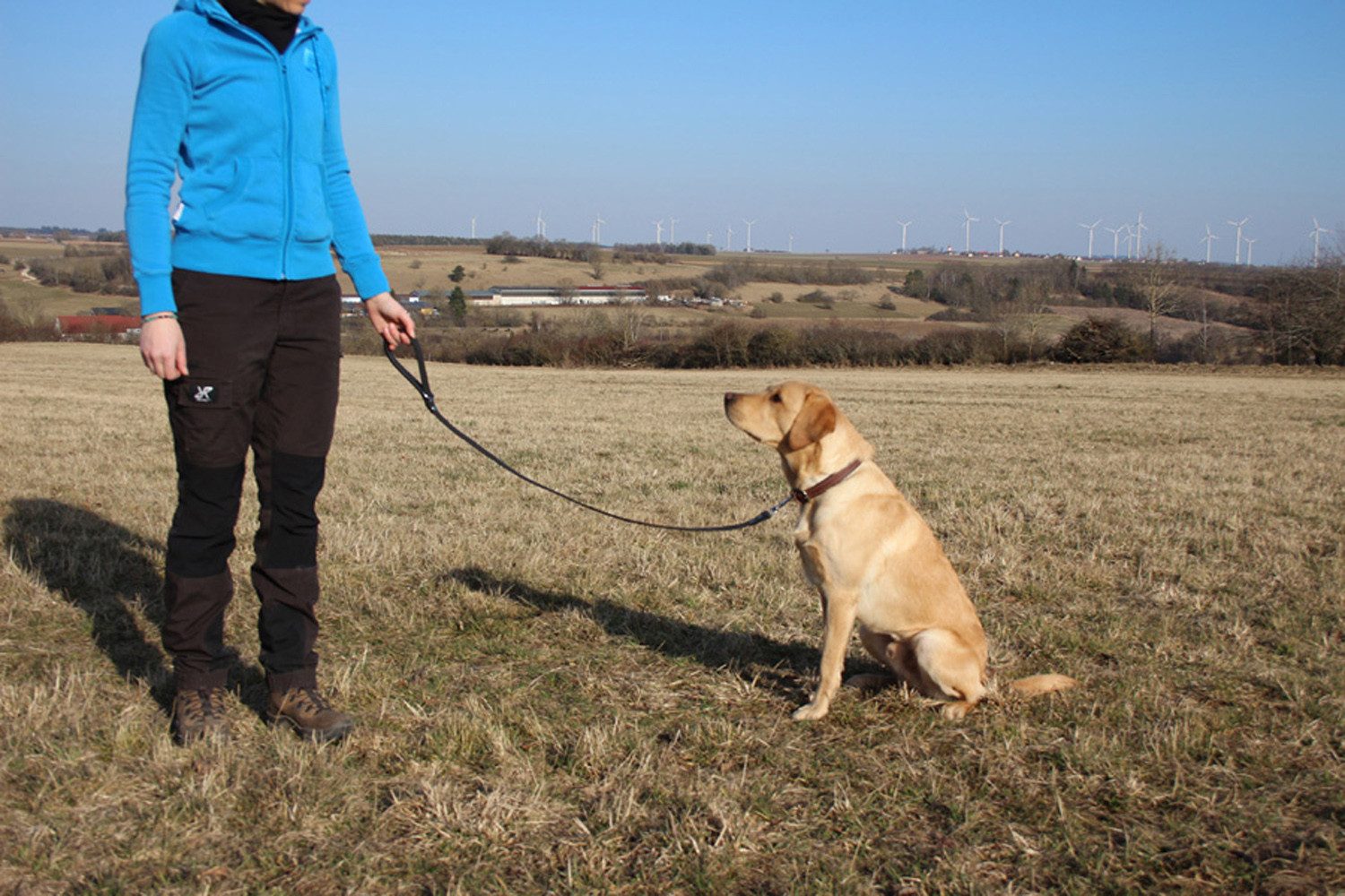 Activity4Dogs Hundeleine für große Hunde Leder, 1m, mit gepolsterter Schlaufe, verschiedene Farben, Made in Germany