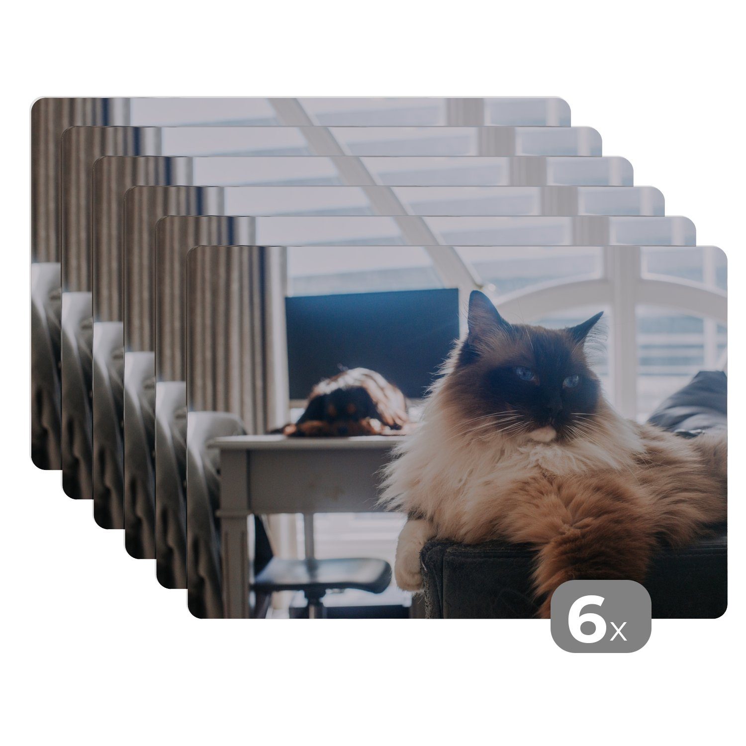 Das Beste dieser Saison Platzset, Eine ruhende Ragdoll-Katze, (6-St), MuchoWow, Schmutzabweisend Platzset, Tischmatten, Platzdecken, Platzmatte