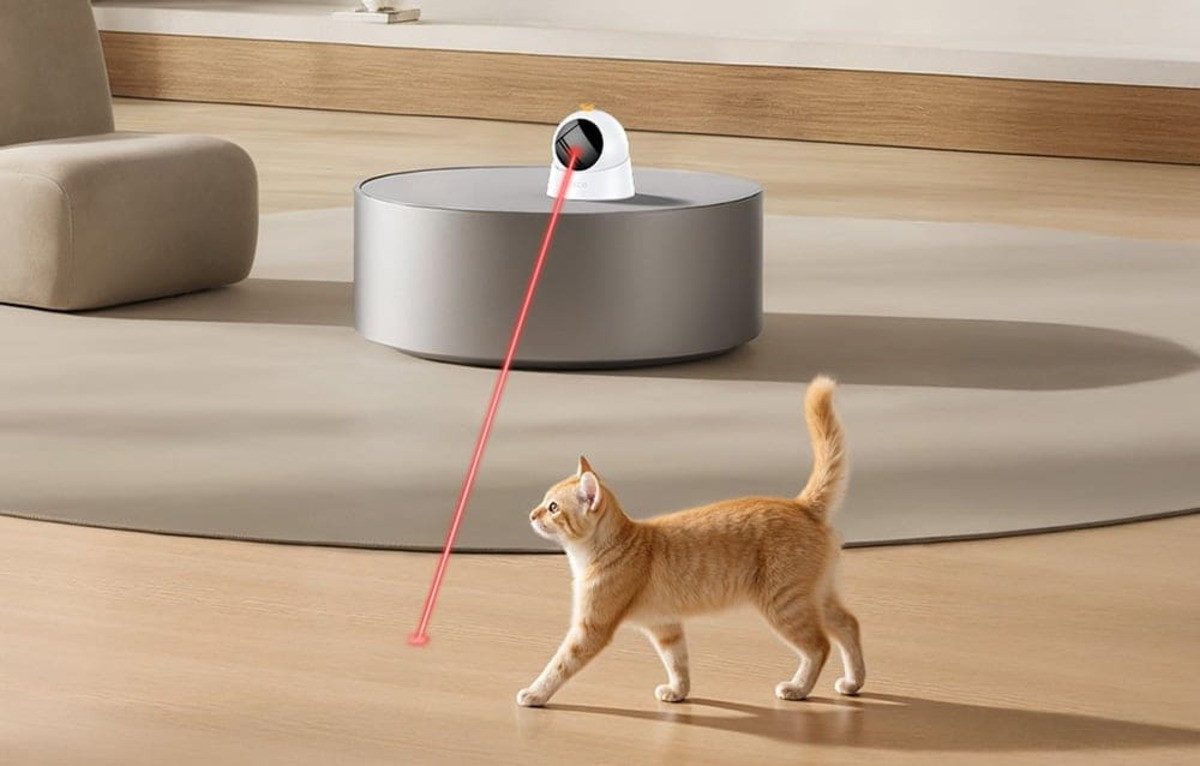 ROJECO Tier-Intelligenzspielzeug Rojeco Interaktives Laser-Tierspielzeug fü günstig online kaufen