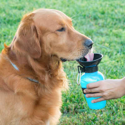 Elfmonkey Reisenapf Hundetrinkflasche Hundeflasche,  Wanderung Trinktrichter, 550 ml, Kunststoff