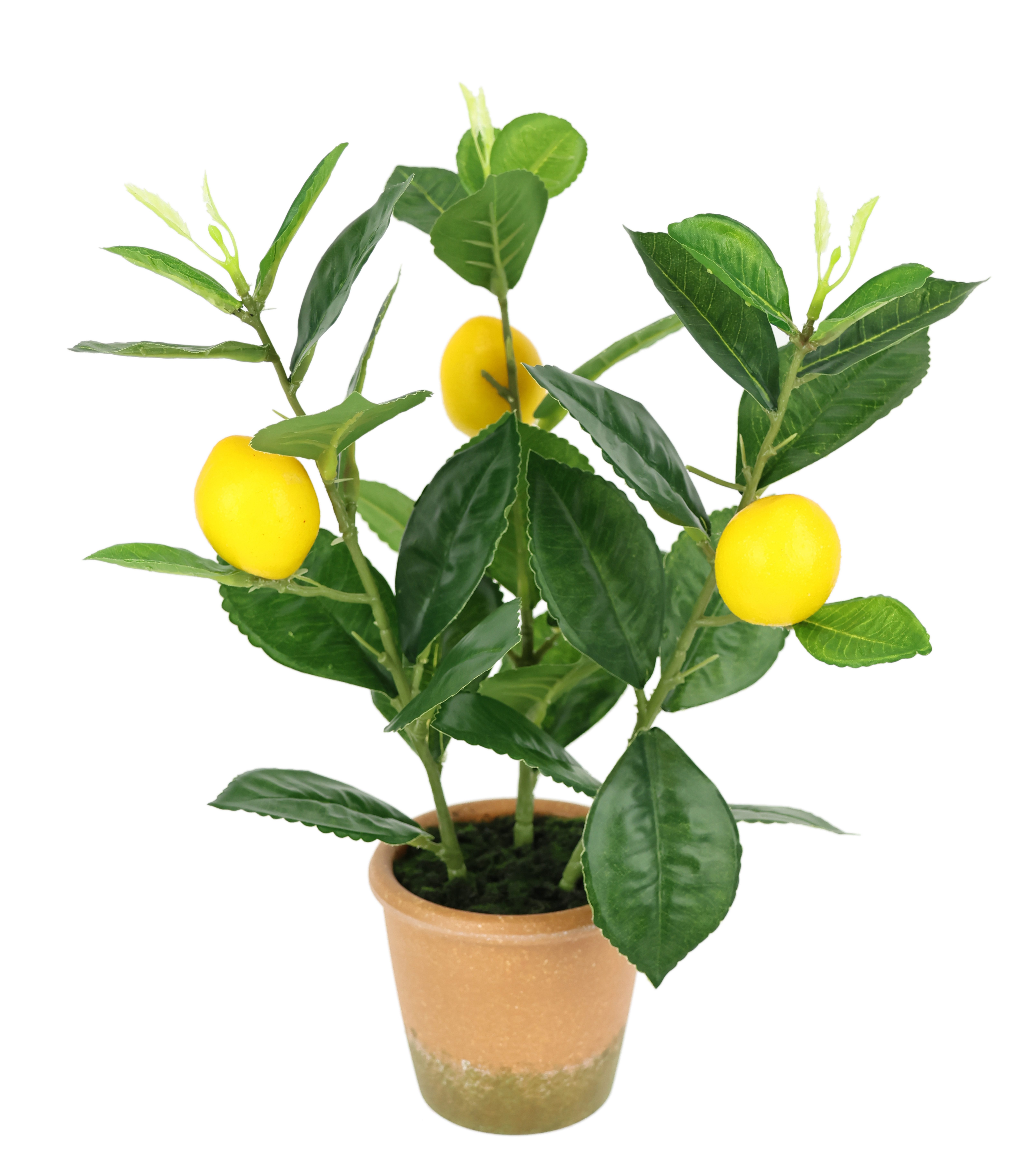 Kunstpflanze Künstlicher Mini-Zitronenbaum, I.GE.A., Höhe 31 cm, Lebensecht günstig online kaufen