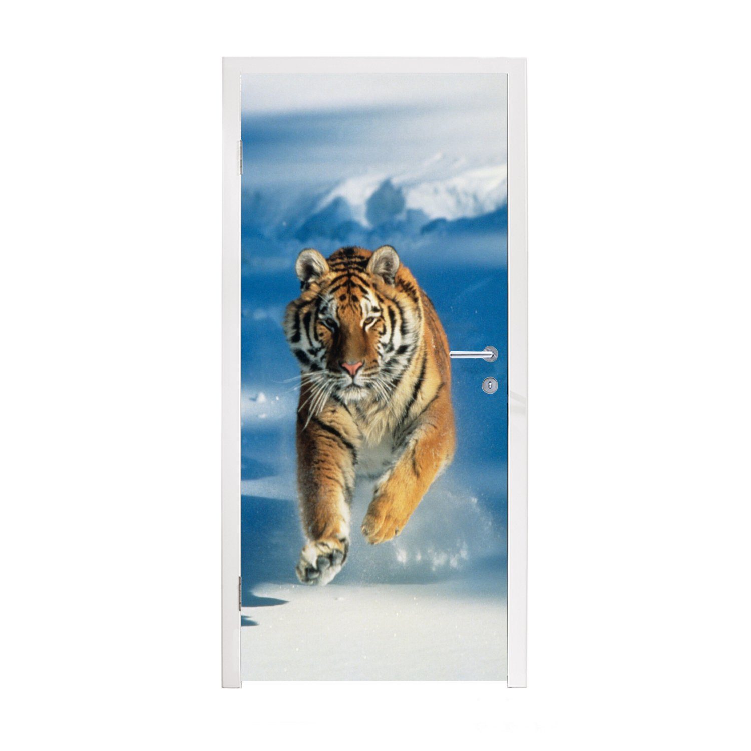 MuchoWow Türtapete Tiger - St), - für Matt, cm (1 Lauf, Tür, 75x205 bedruckt, Türaufkleber, Fototapete Schnee