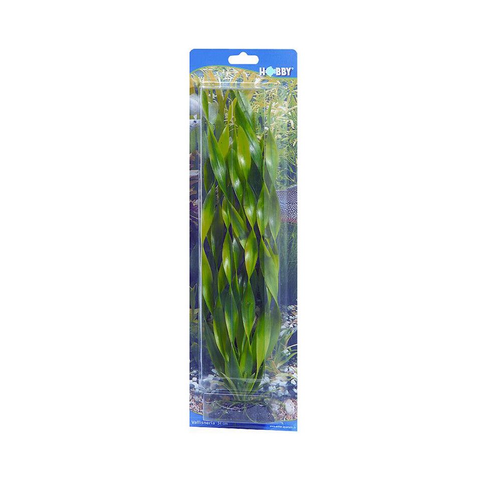 HOBBY Aquariendeko Vallisneria