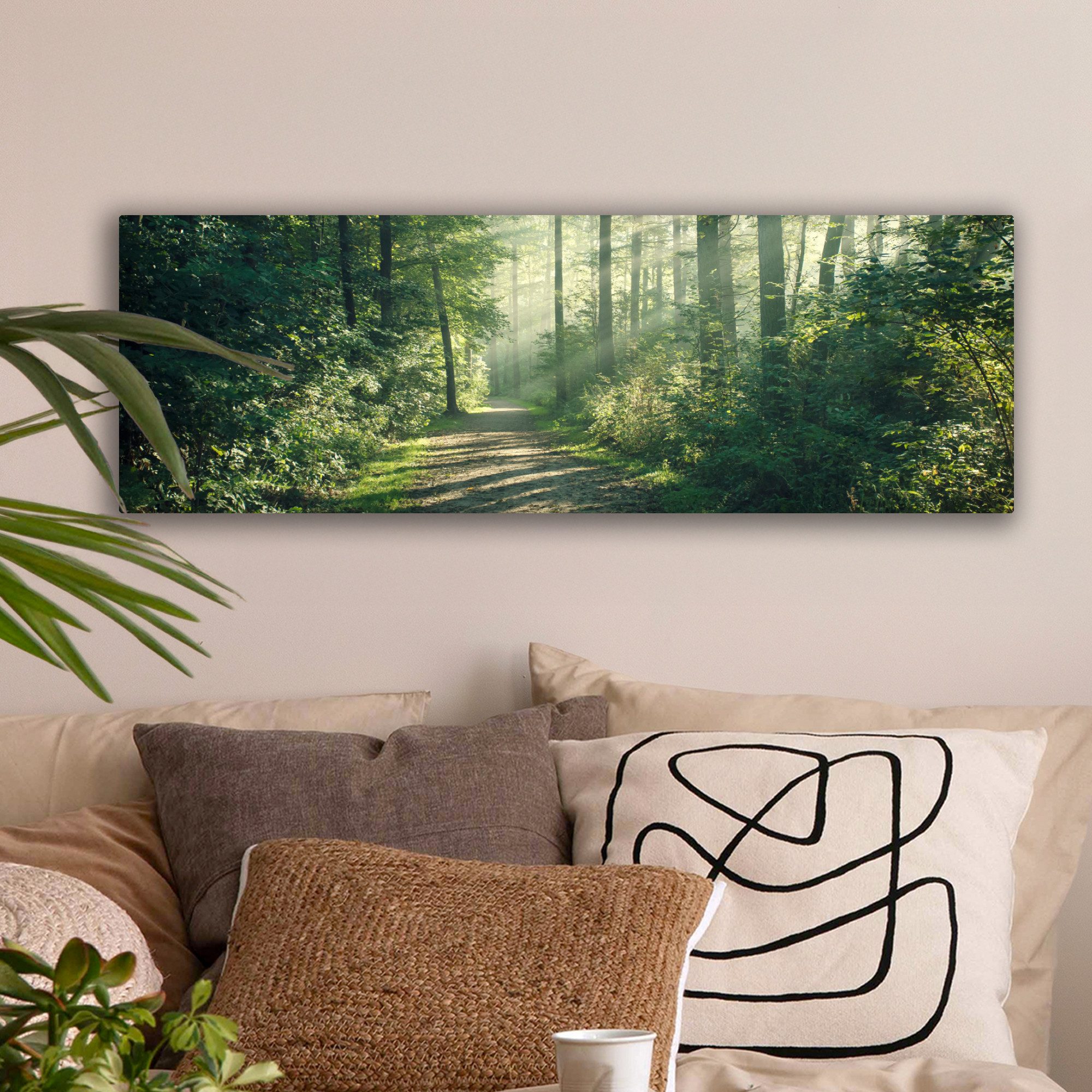 OneMillionCanvasses® Leinwandbild Panorama Wald - Weg - Sonne - Bäume - Grü günstig online kaufen
