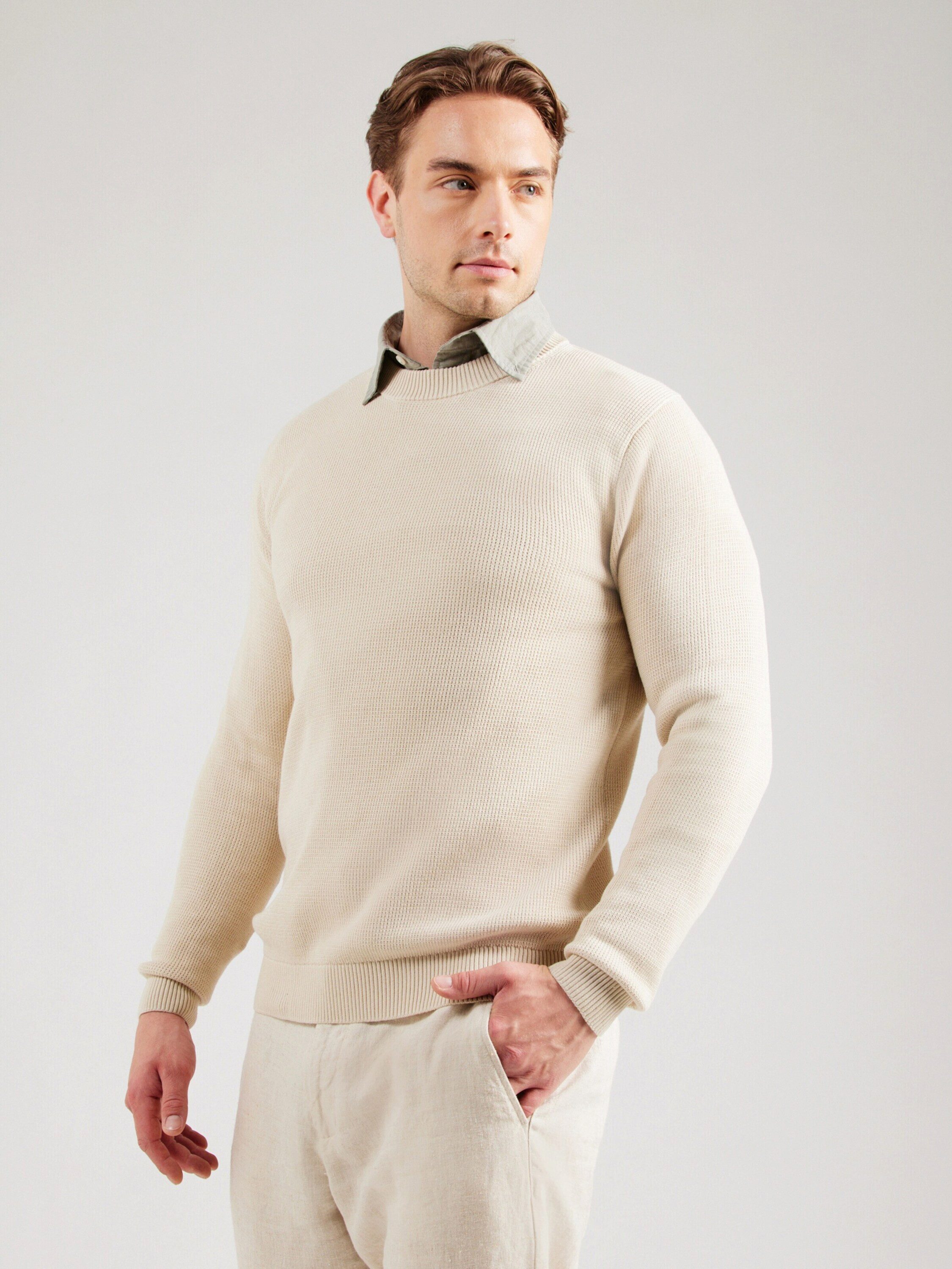 Selected Rundhalspullover SLHDane (1-tlg) günstig online kaufen