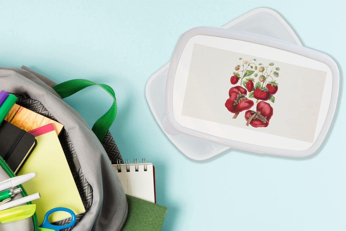 Jungs (2-tlg), - für weiß - Mädchen Kunststoff, Erwachsene, für und Lunchbox Erdbeeren Brotbox Brotdose, MuchoWow und Kinder Obst Pflanze,