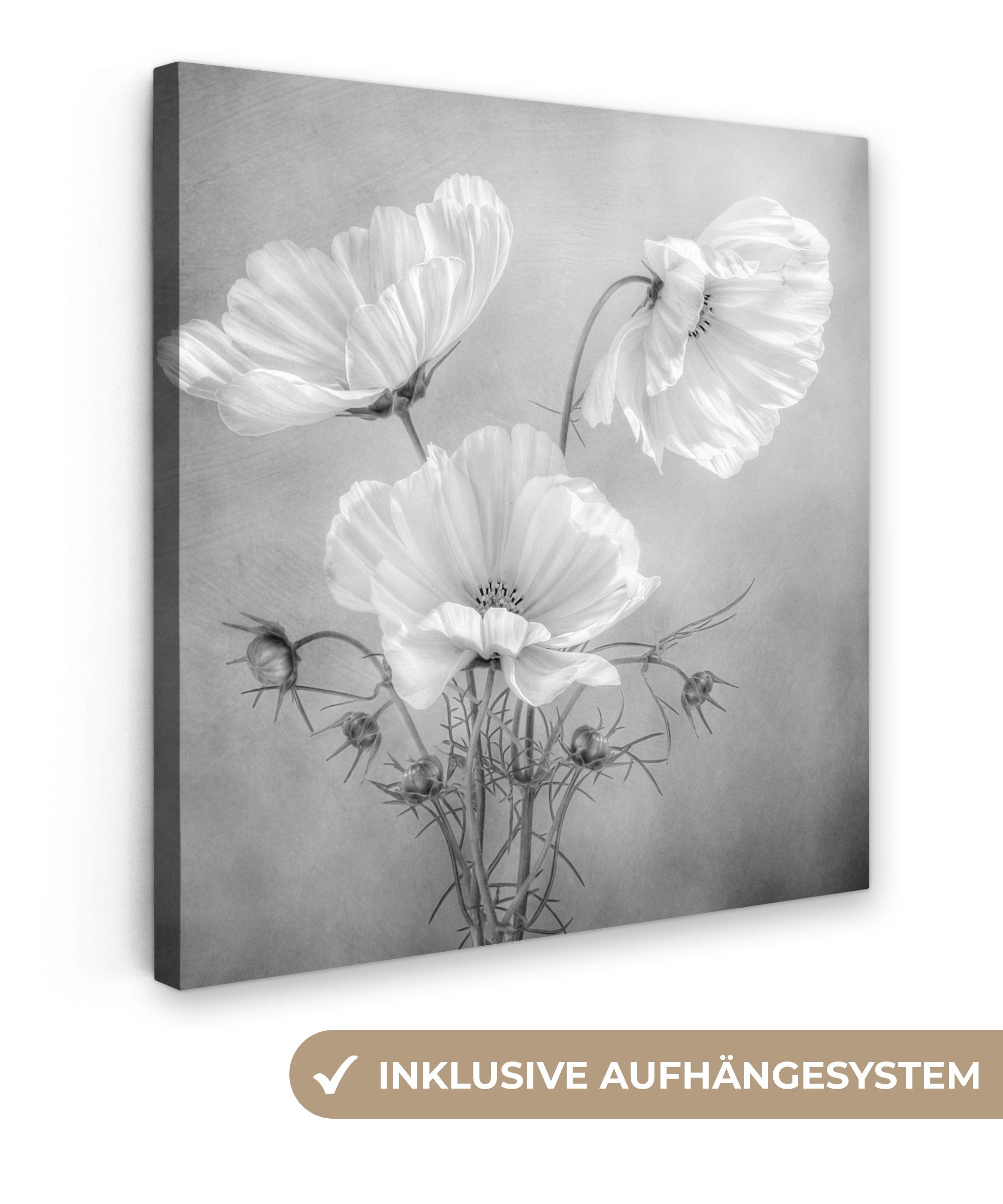 OneMillionCanvasses® Leinwandbild Stilleben - Blumen - Schwarz und weiß - M günstig online kaufen