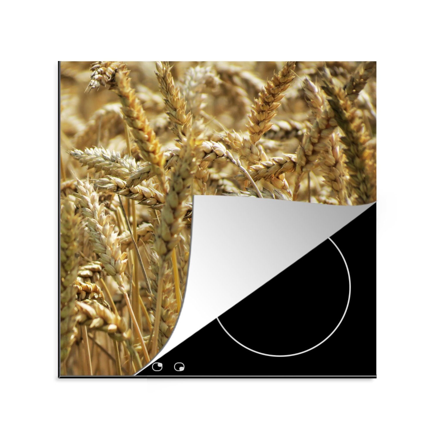 MuchoWow Herdblende-/Abdeckplatte Dinkel - Getreide - Weizen, Vinyl, (1 tlg), 78x78 cm, Ceranfeldabdeckung, Arbeitsplatte für küche