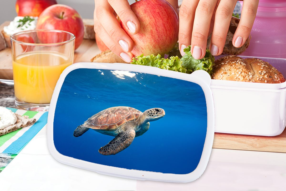 MuchoWow Lunchbox Schildkröte Kinder (2-tlg), Ozean, Brotbox weiß Kunststoff, im und Jungs und Erwachsene, Mädchen für Brotdose, für