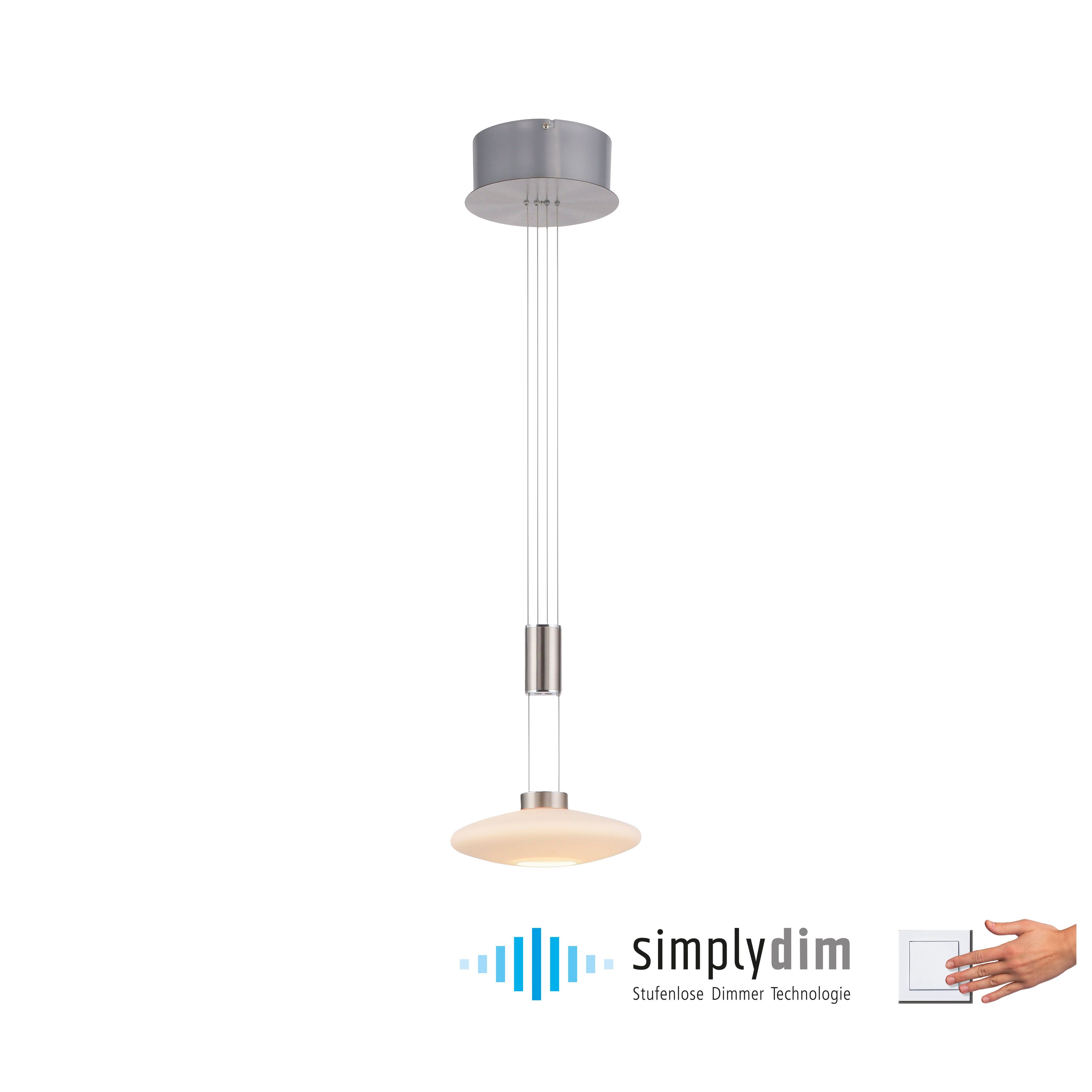 Paul Neuhaus Netz LED vom Memory, fest Trennung Warmweiß, Dim, LED, LAUTADA, integriert, Simply nach Pendelleuchte dimmbar