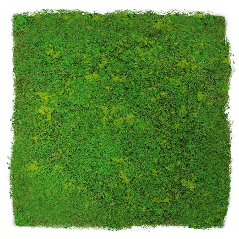 JANGAL 3D Wandpaneel Modular Wall Akustikpaneel, Die Holz- und Steinoberflä günstig online kaufen