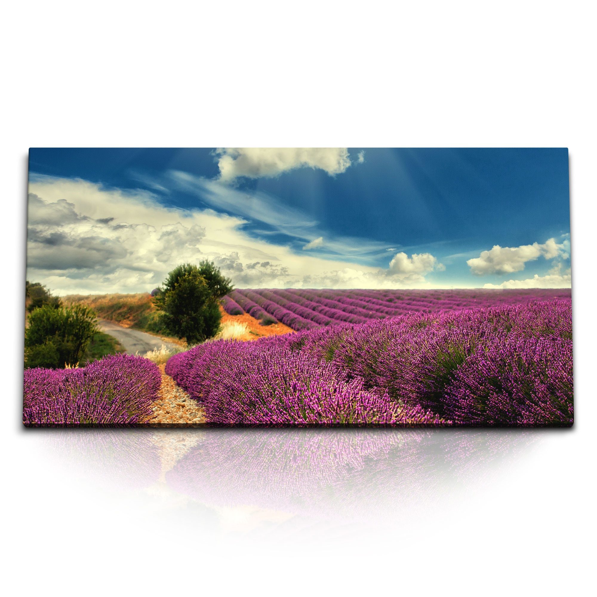 Leinwandbild Kunstdruck Bilder 120x60cm Lavendel Lavendelfeld blauer Himmel Natur L