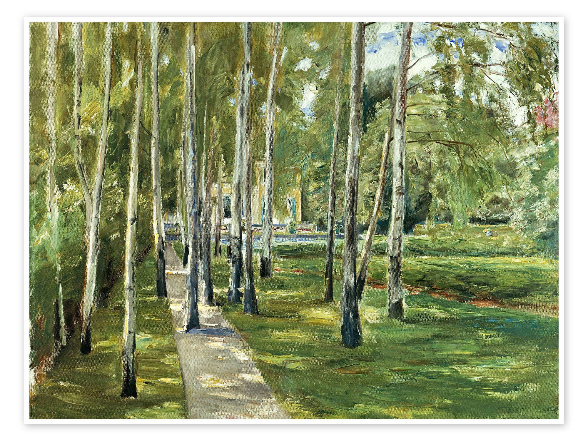 Posterlounge Wandbild Birkenallee nach Westen, Max Liebermann, erhältlich als Poster, Leinwandbild, Wandsticker oder Acrylglasbild