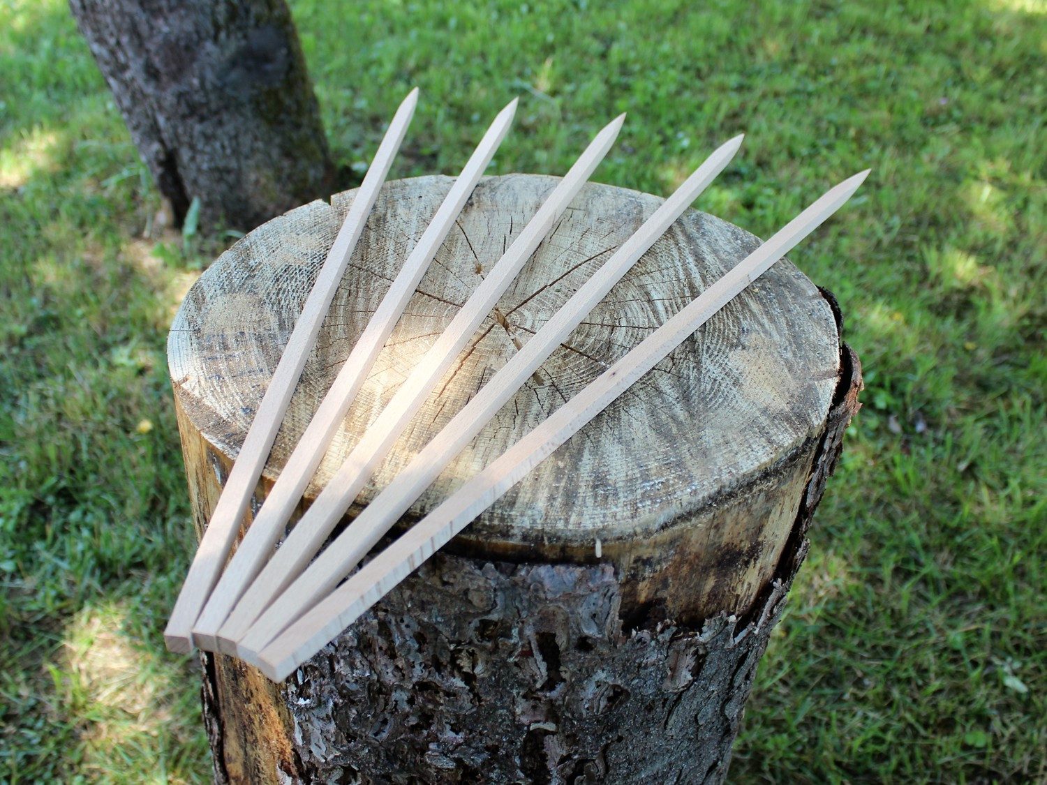 Schilling Fischgrilltechnik Grillguthalter Grillspieße Holz für Fisch - Steckerlfisch Spieße, Buche naturbelassen, (5er Pack, 5-St., 5er Set Spieße inklusive Probegewürz für Steckerlfisch/Grillfisch), Quadratisch, verdrehsicher, splitterfrei, aus Buchenholz