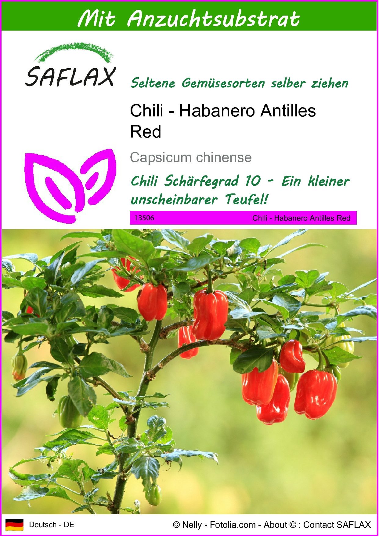 Gemüsesamen SAFLAX - Samen und Substrat - Chili - Habanero Antilles Red