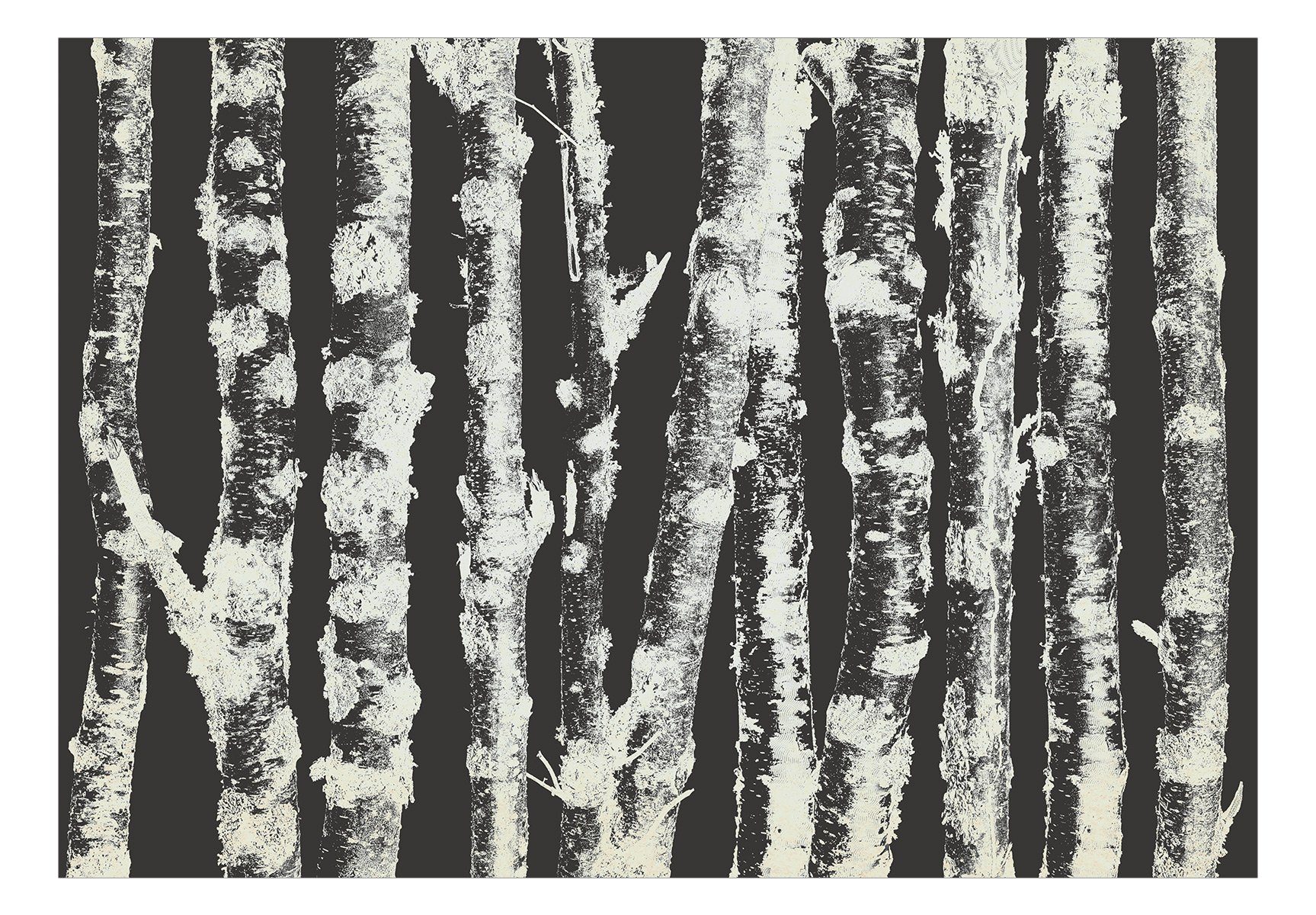 lichtbeständige Birches Stately Second Variant Tapete KUNSTLOFT halb-matt, m, - 1x0.7 Design Vliestapete