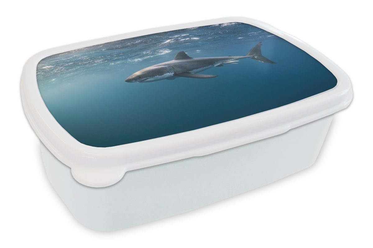MuchoWow Lunchbox Hai der Mädchen Brotbox für Brotdose, (2-tlg), für und Erwachsene, Jungs und Kinder Kunststoff, Oberfläche, weiß an