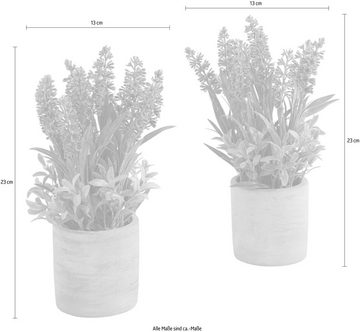 Kunstpflanze Effetamo Lavendel, Guido Maria Kretschmer Home&Living, Höhe 23 cm, im Topf, 2er Set