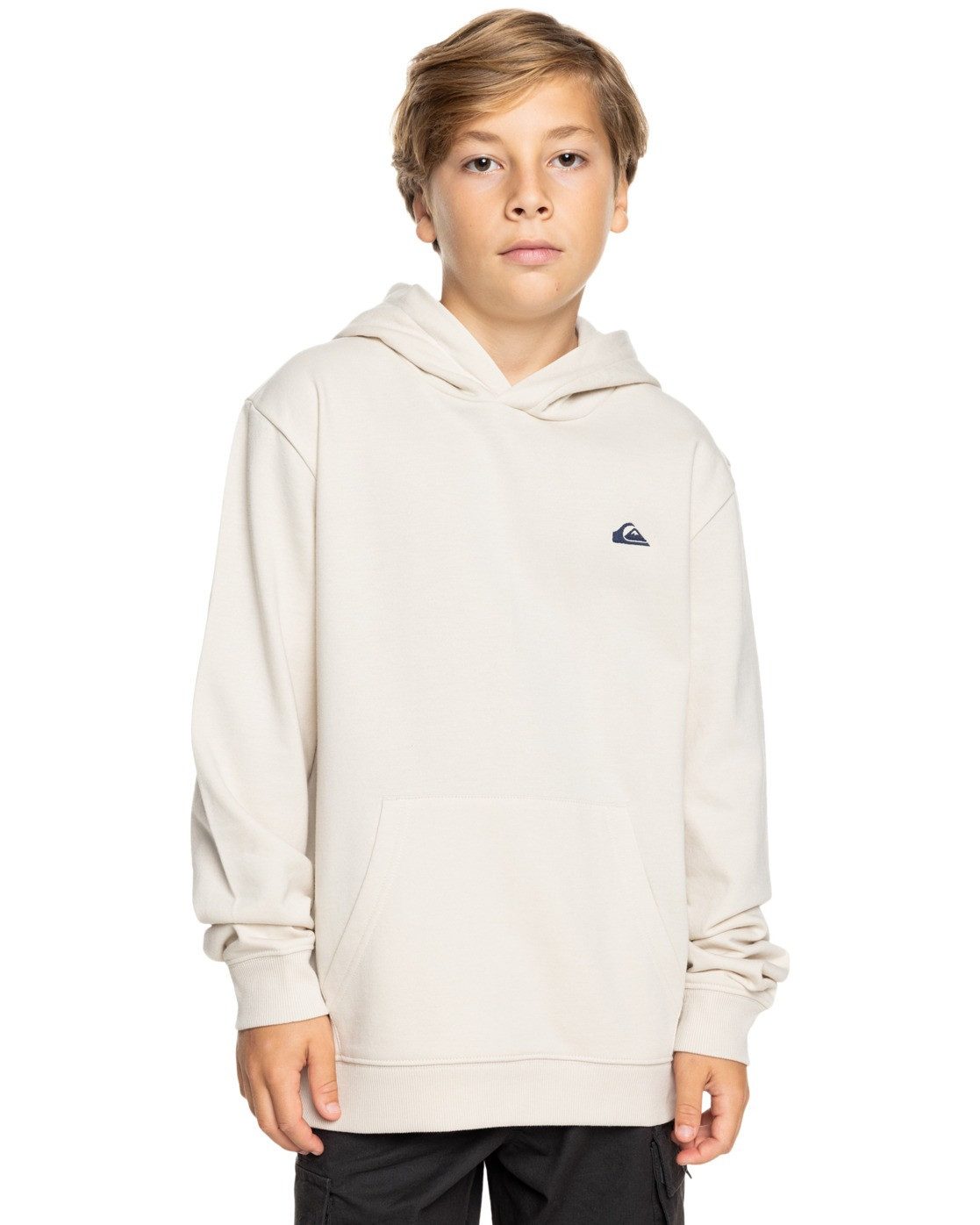 Quiksilver Kapuzensweatshirt Basic günstig online kaufen