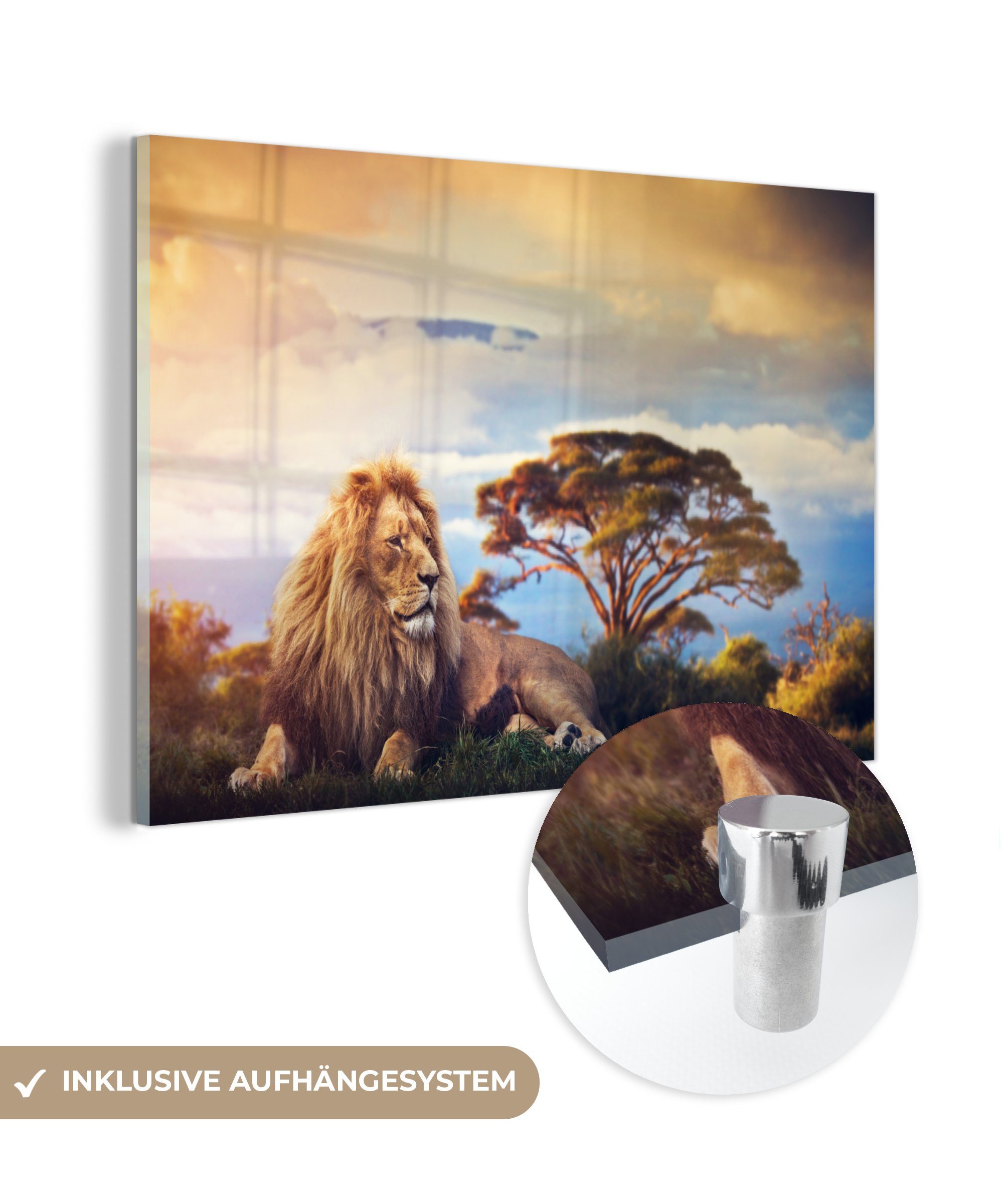 MuchoWow Acrylglasbild Löwe - Gemälde - Afrika, (1 St), Glasbilder - Bilder auf Glas Wandbild - Foto auf Glas - Wanddekoration