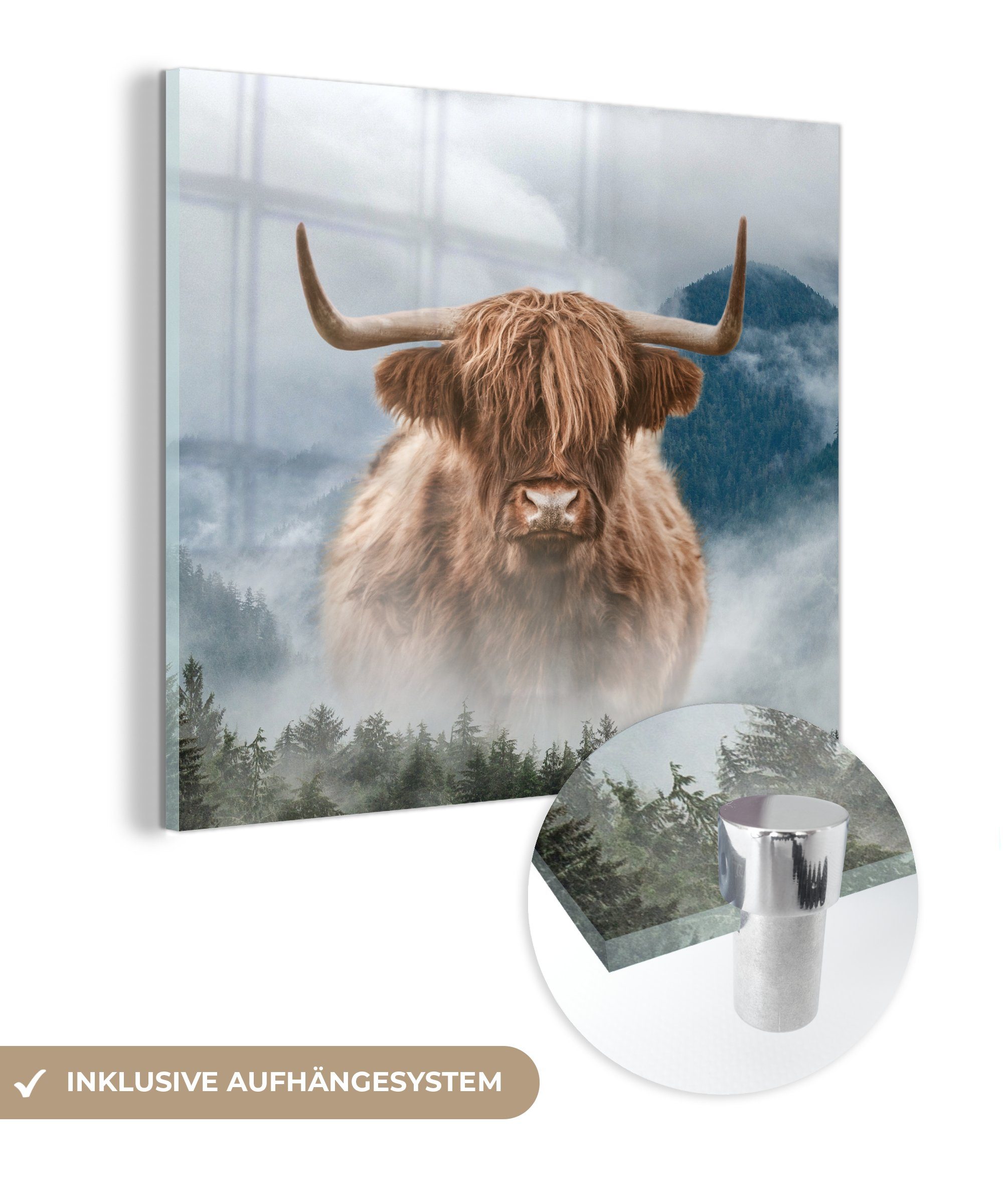 MuchoWow Acrylglasbild Schottischer Highlander - Nebel - Berg, (1 St), Glasbilder - Bilder auf Glas Wandbild - Foto auf Glas - Wanddekoration bunt