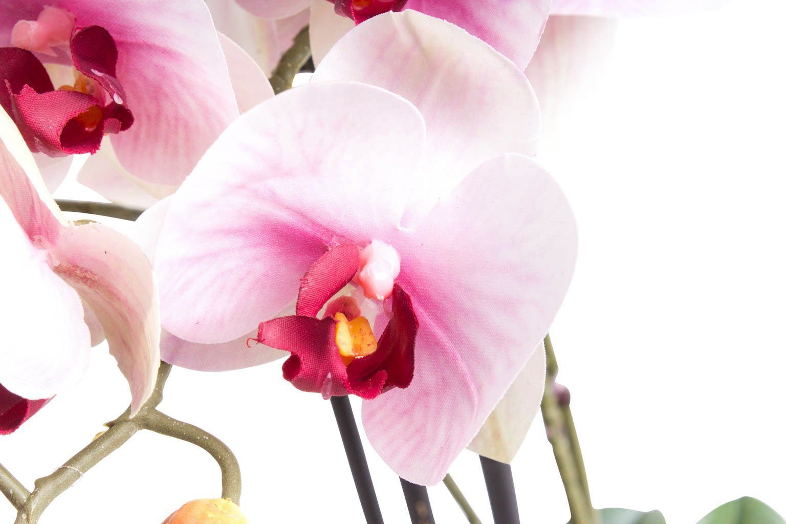 cm Bora Botanic-Haus, Kunstorchidee 60 Orchidee Orchidee, Höhe
