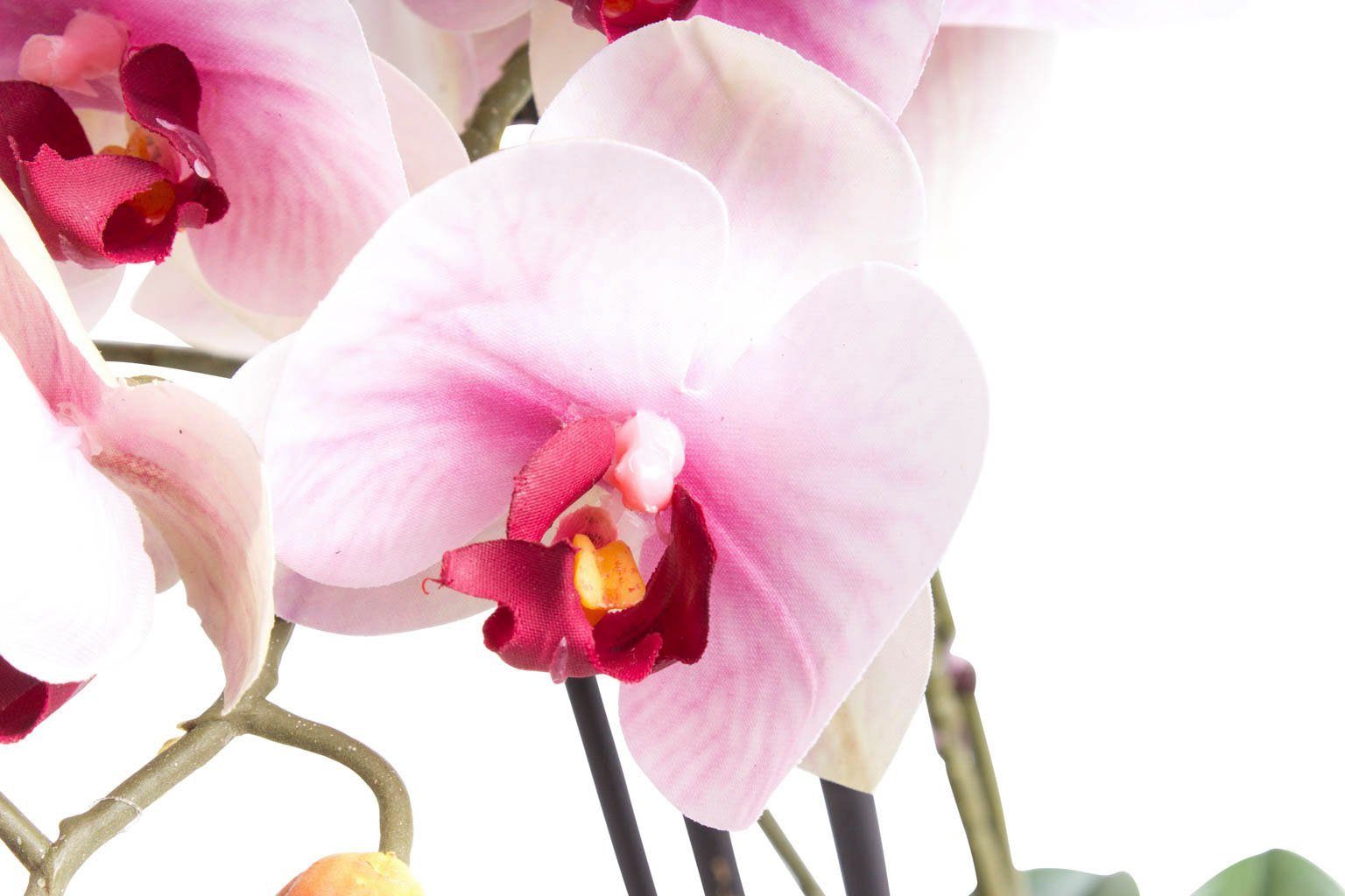 Kunstorchidee Orchidee Bora Orchidee, Botanic-Haus, Höhe günstig online kaufen