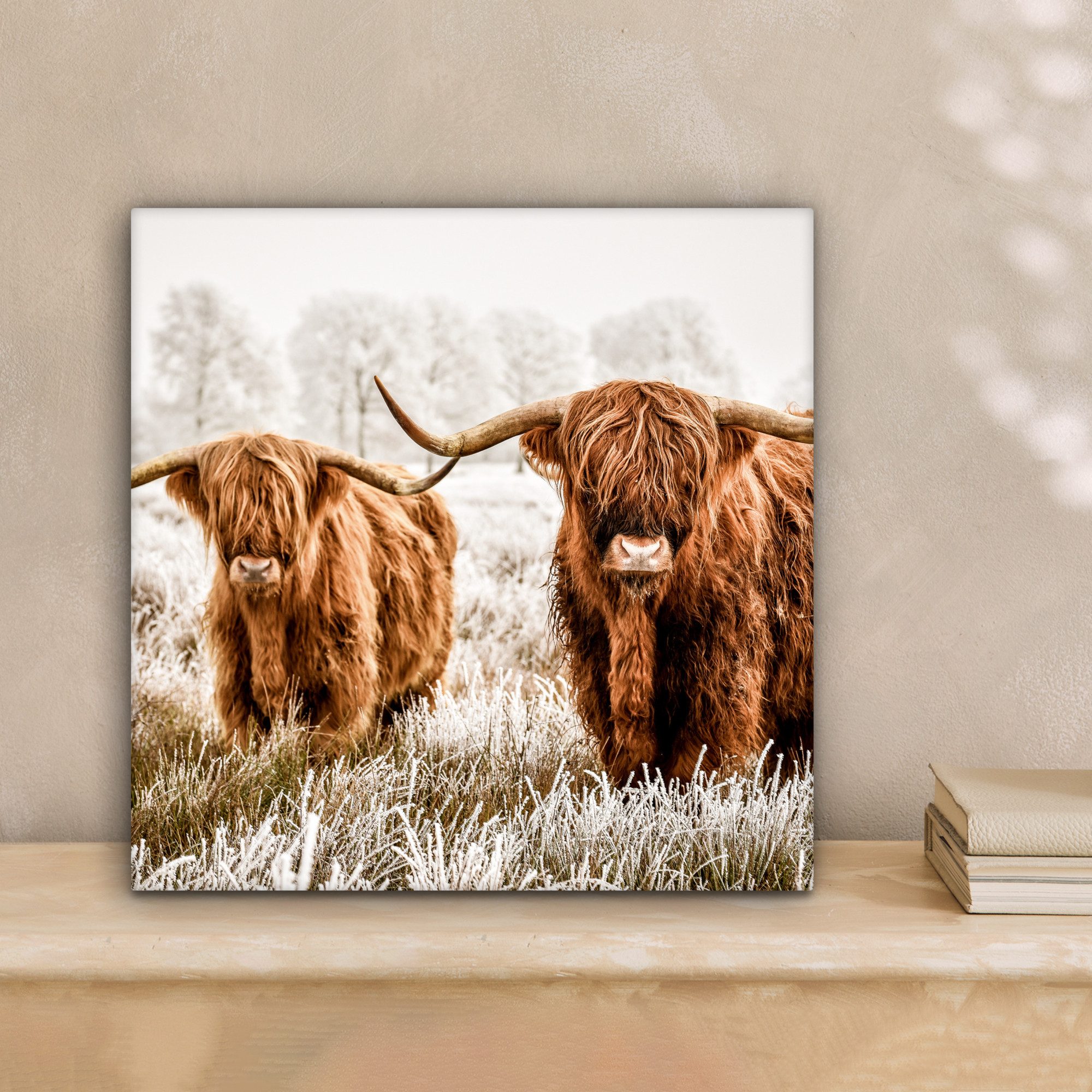 OneMillionCanvasses® Leinwandbild Schottischer Hochländer - Kuh günstig online kaufen