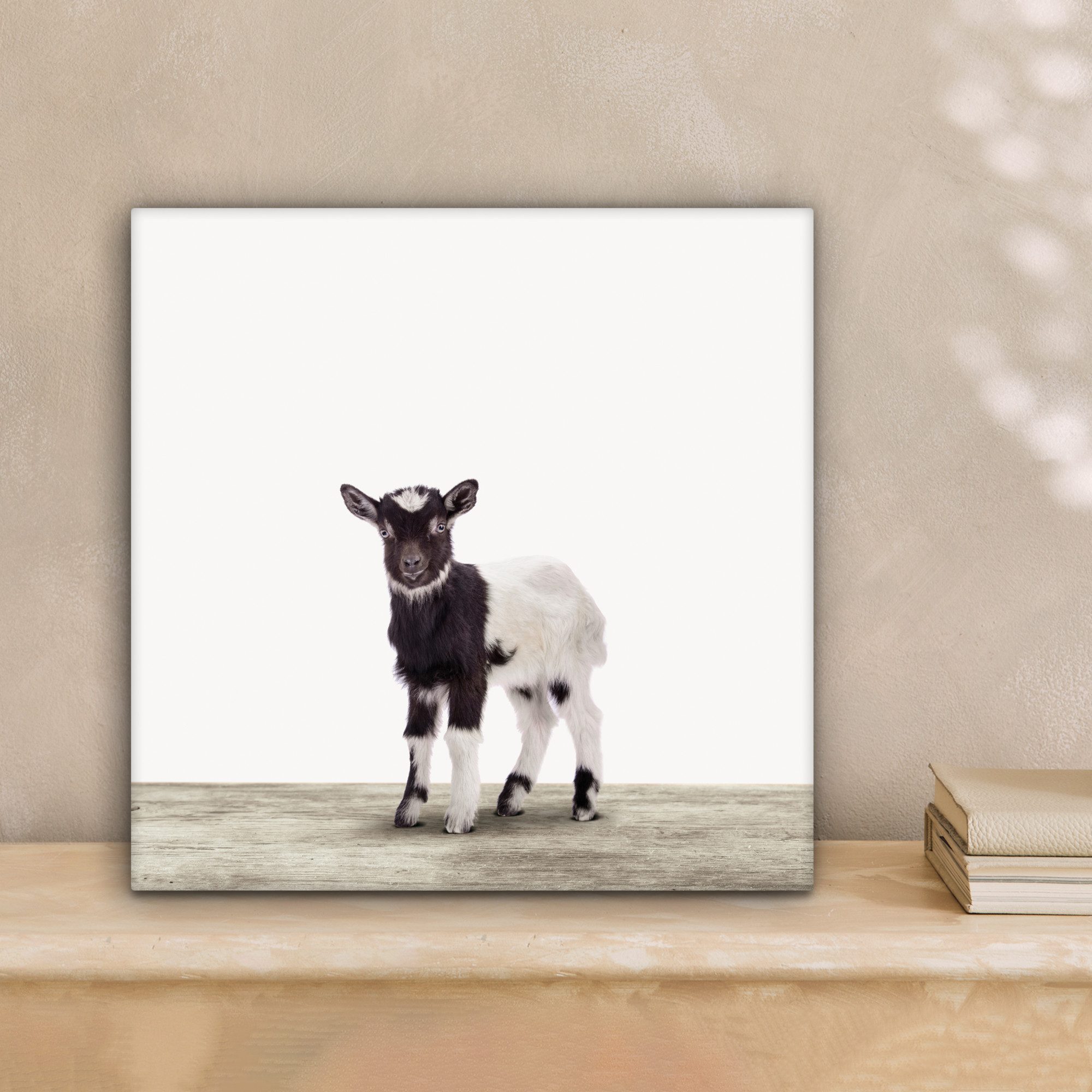 OneMillionCanvasses® Leinwandbild Ziege - Tiere - günstig online kaufen