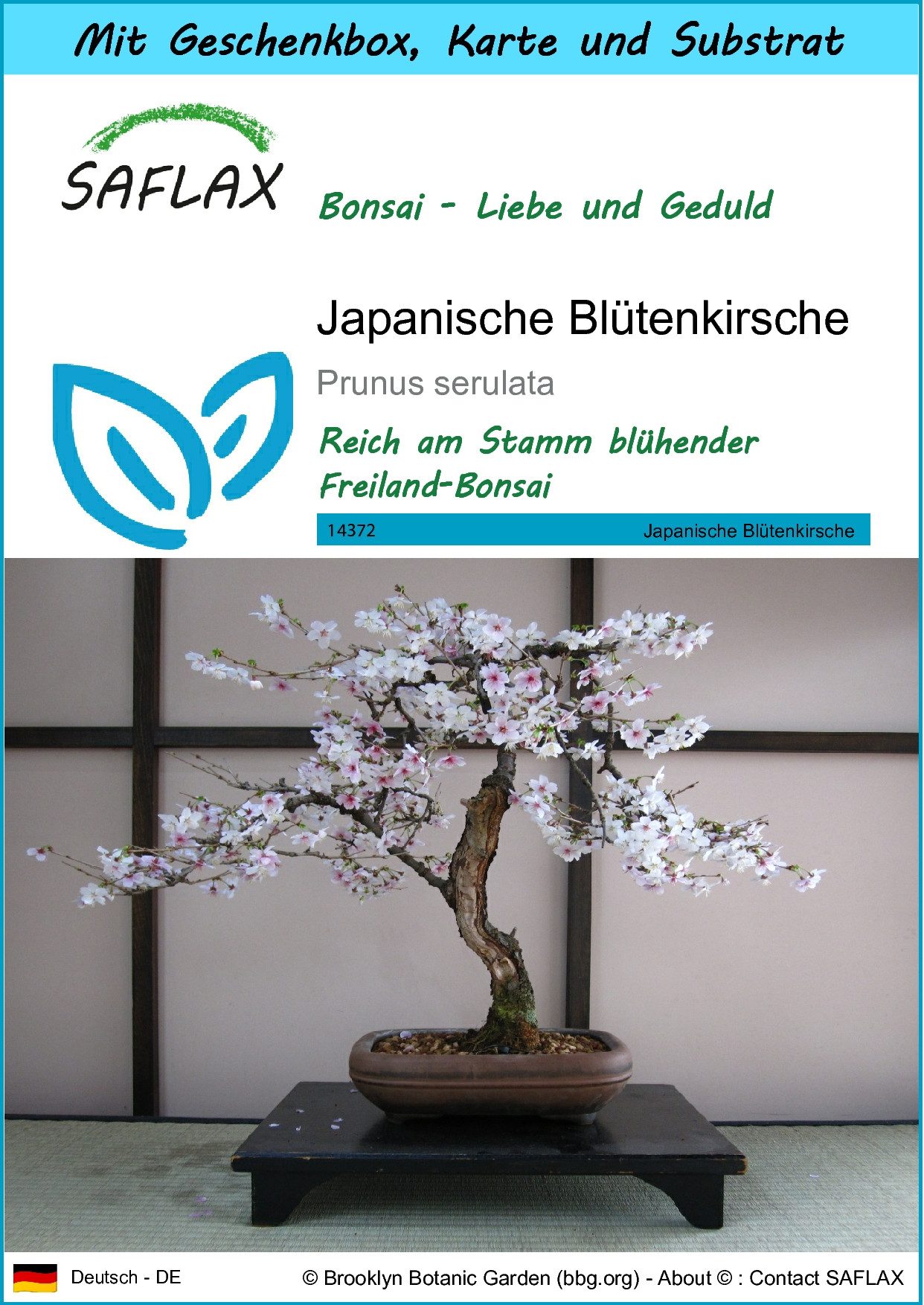 SAFLAX Blumensamen SAFLAX - Geschenkset - günstig online kaufen