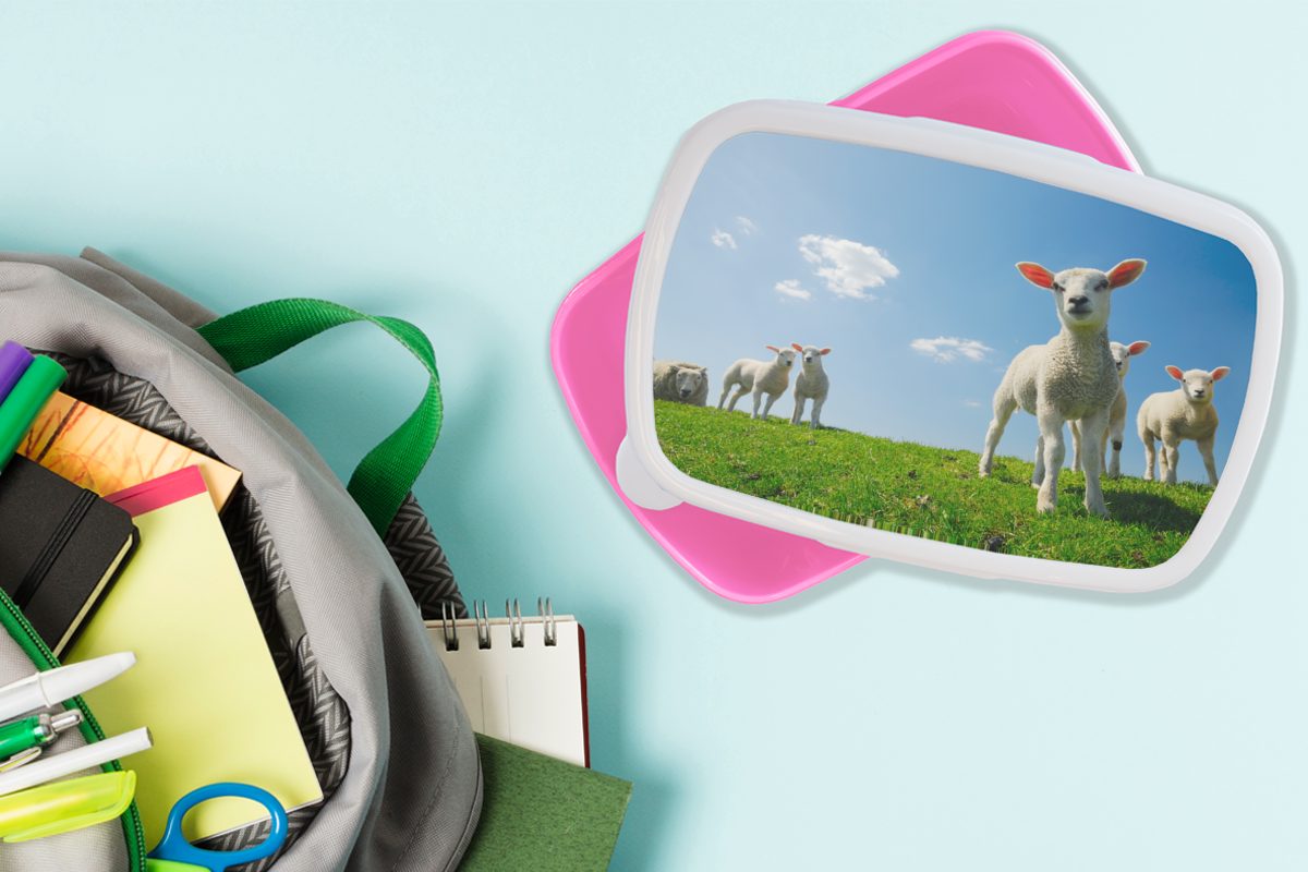 Frühling Brotdose (2-tlg), Brotbox - Kinder, - Kunststoff, Landschaft, Mädchen, Schafe rosa MuchoWow für Snackbox, Erwachsene, Kunststoff Lunchbox