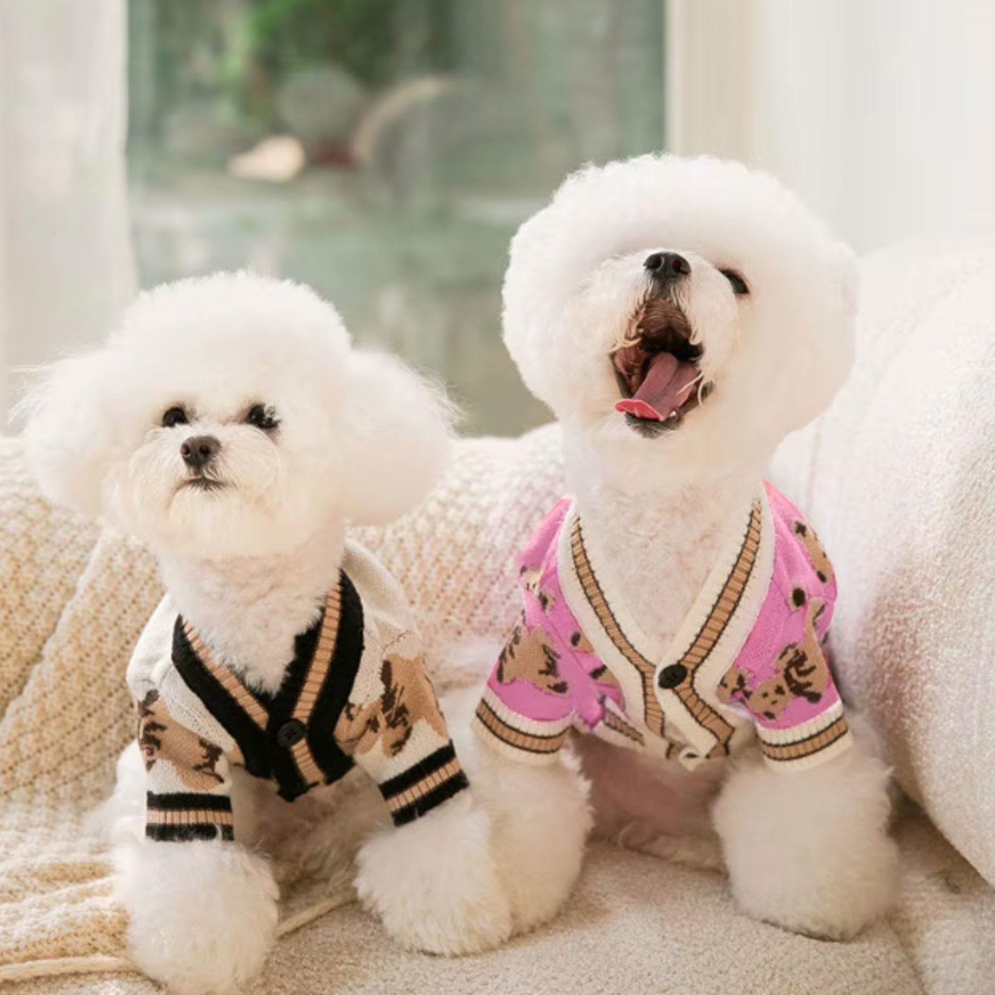 FLOCKI Pets™ Hundepullover Hunde Strickpullover, für Hunde in verschiedenen Größen, niedliches Teddy-Bär Design