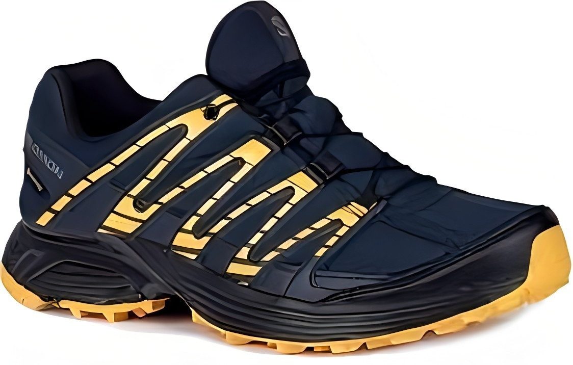 Salomon XT Backbone GTX für Herren Outdoorschuh günstig online kaufen