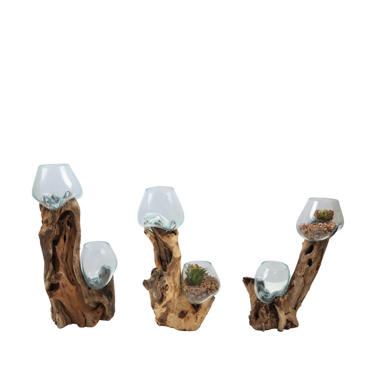 Casa Moro Dekovase Doppel-Glasvase auf Wurzelholz – Ø 15 cm Vase aus Glas auf Holz