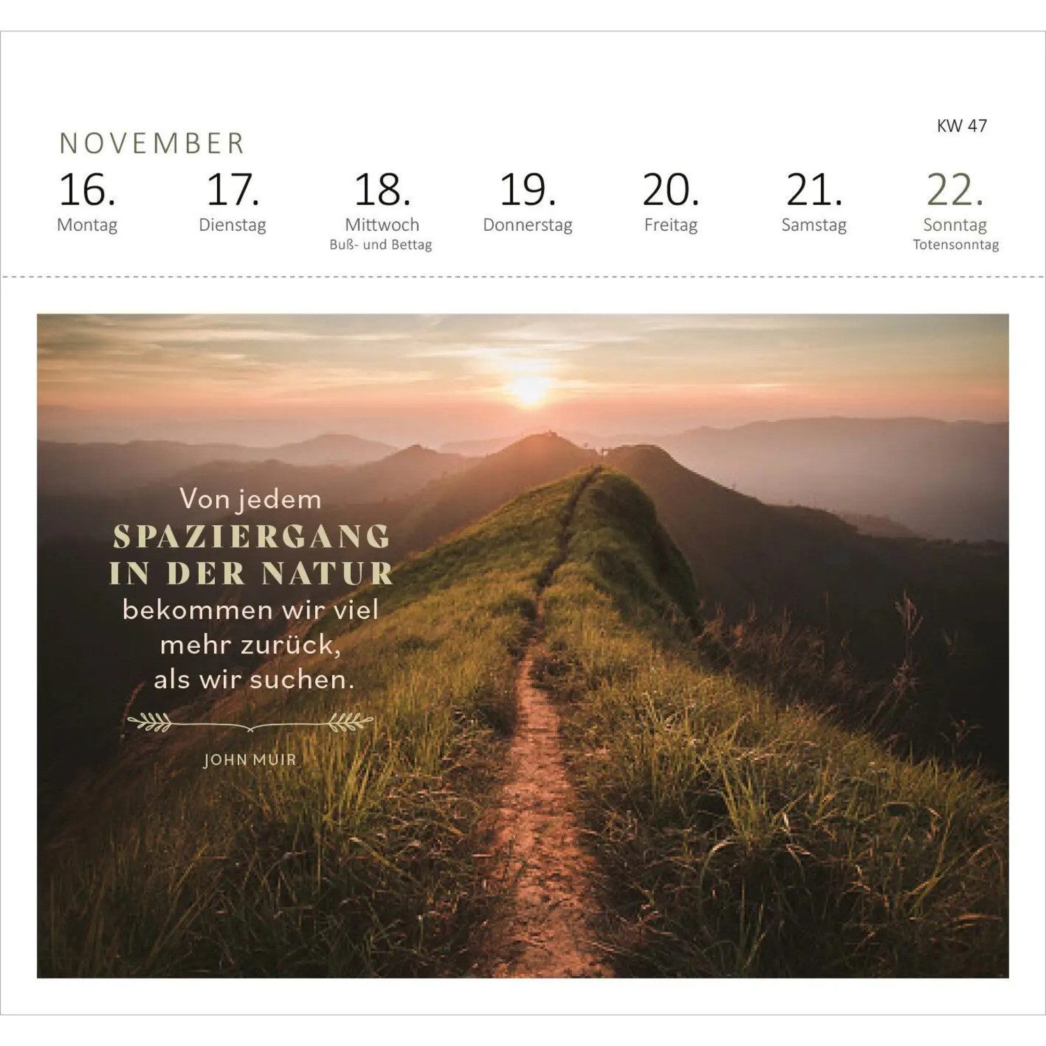 Ars Edition Tischkalender Postkartenkalender 365 Tage Sonne im Herzen 2026