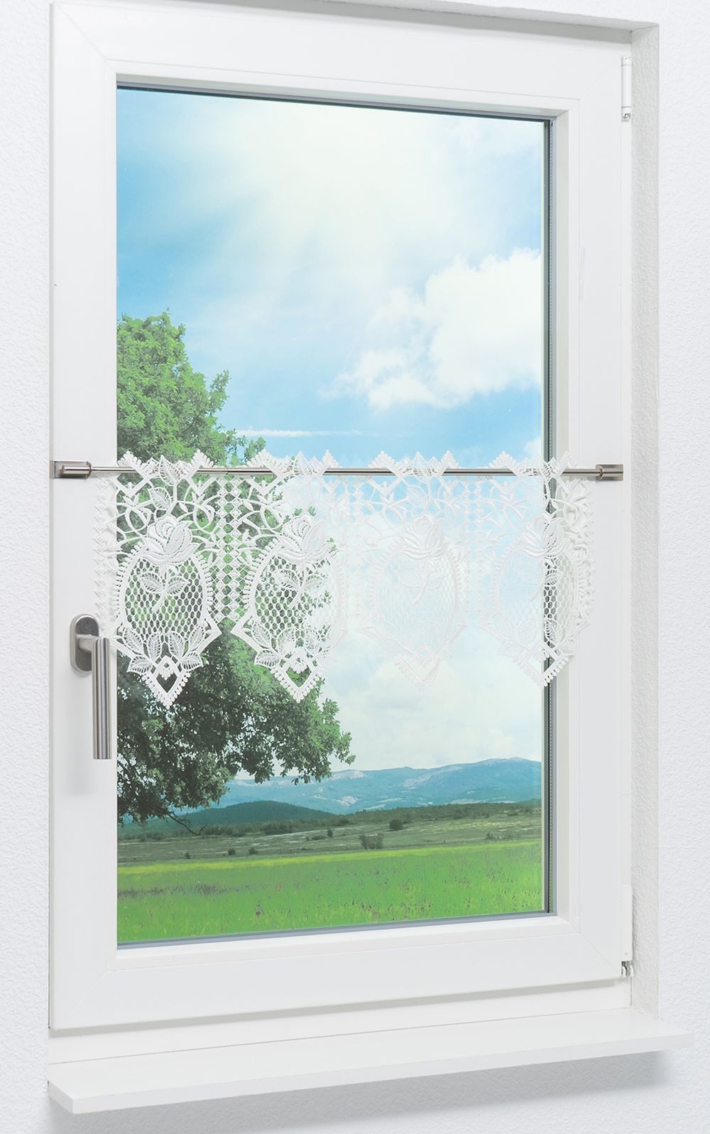 Plauener Spitze® Scheibengardine Rosengarten (1 St), transparent, HxB 28x48 günstig online kaufen