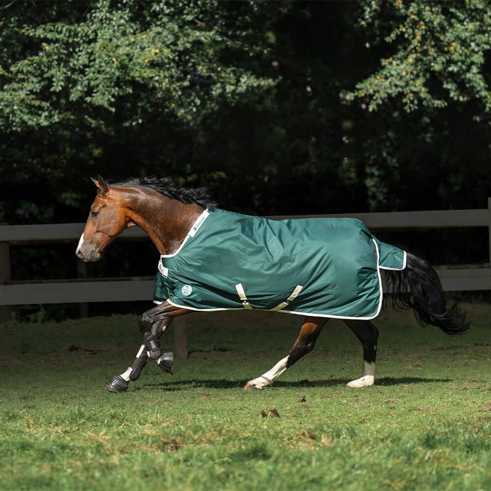Bucas Pferde-Thermodecke Bucas Green-Line Turnout 300g