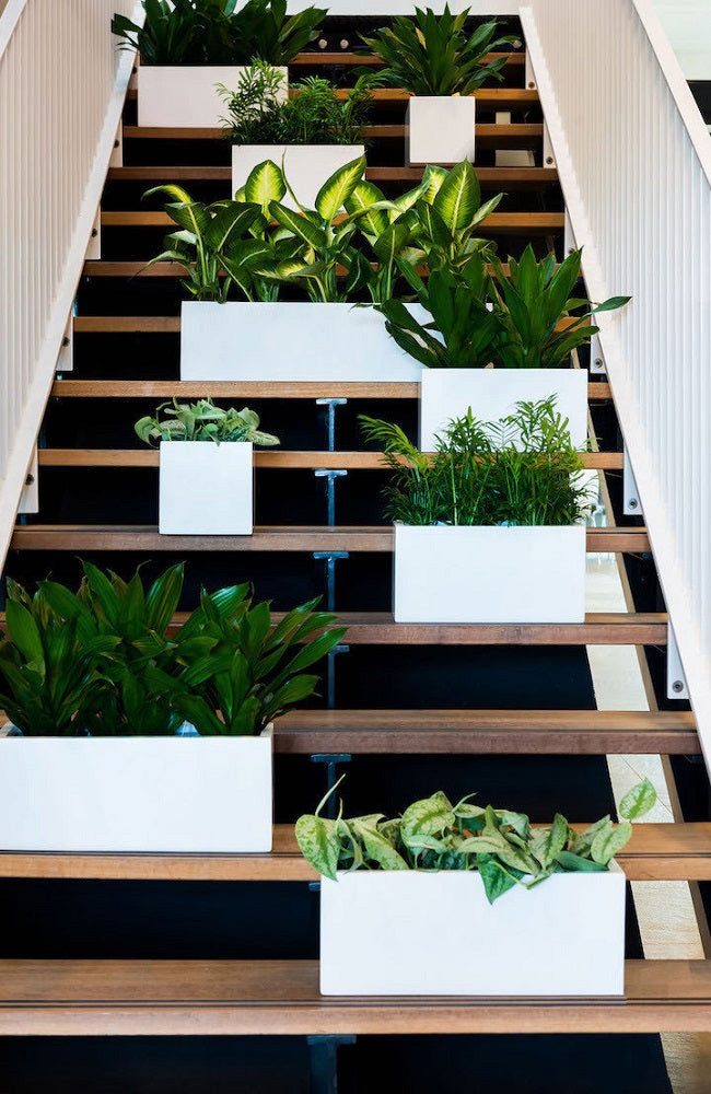finestgreen Balkonkasten Balcony, Robust & leicht – frostfest für Innen- und Außenbereich