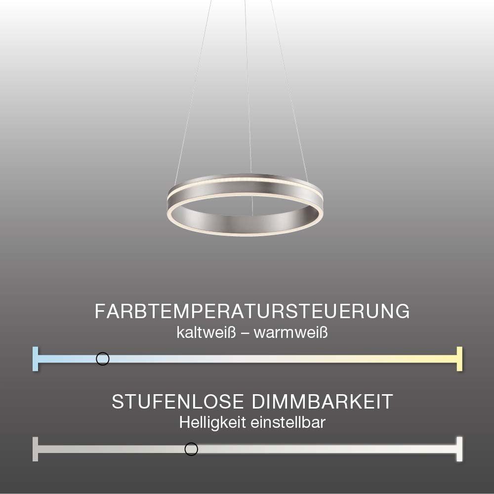 silber Q-Vito Leuchtmittel, with LED-Leuchte Dimmfunktion, Smart mit LED Alexa, Home, Smarte Ring Pendelleuchte Memoryfunktion, Ring, Farbwechsel Neuhaus CCT Pendellampe CCT-Farbregelung, Works Paul