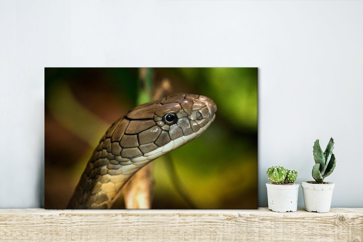 Leinwandbilder, in Wandbild Leinwandbild OneMillionCanvasses® einer Umgebung, grünen (1 Kobraschlange Wanddeko, cm 30x20 St), Aufhängefertig,