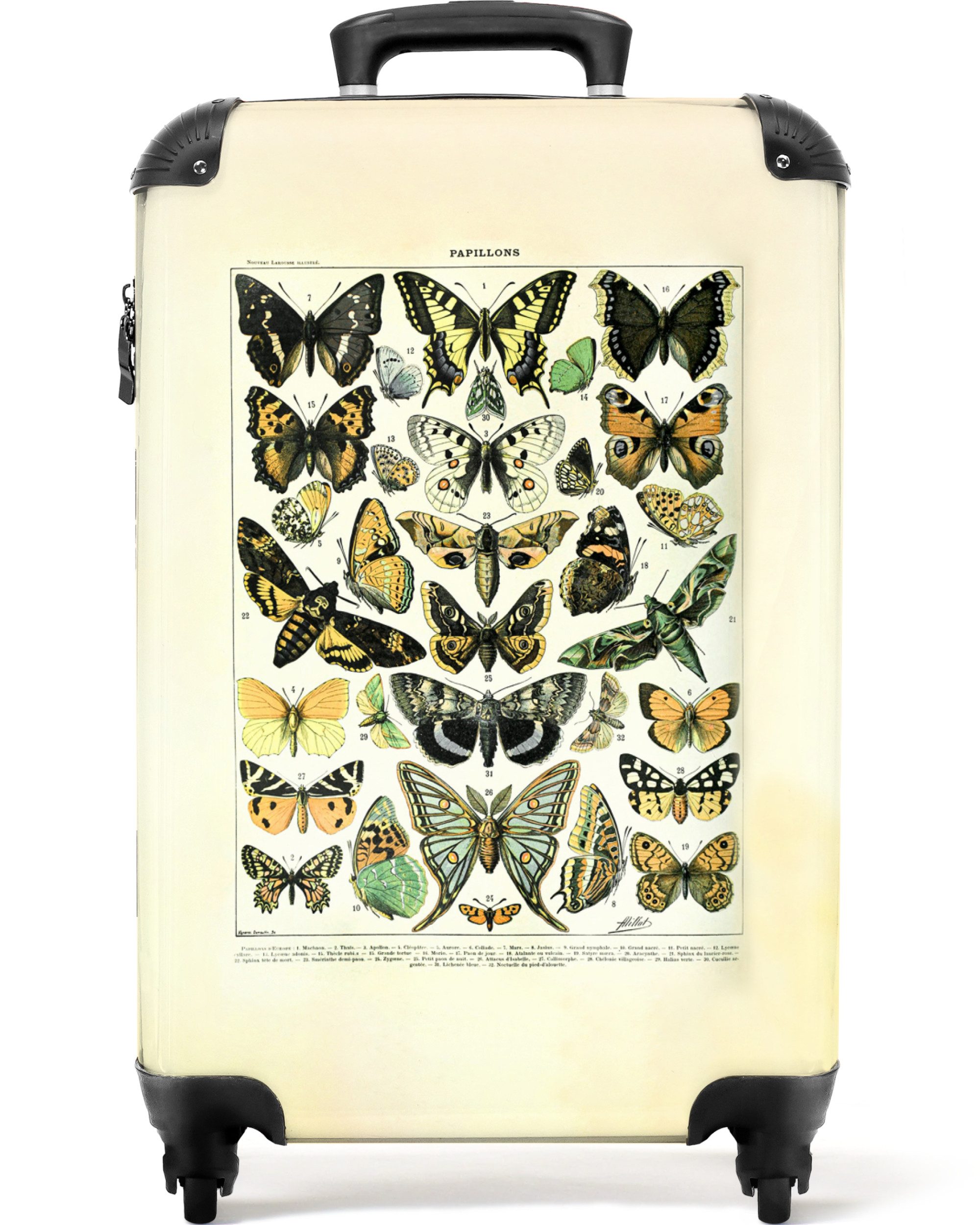 Schmetterling