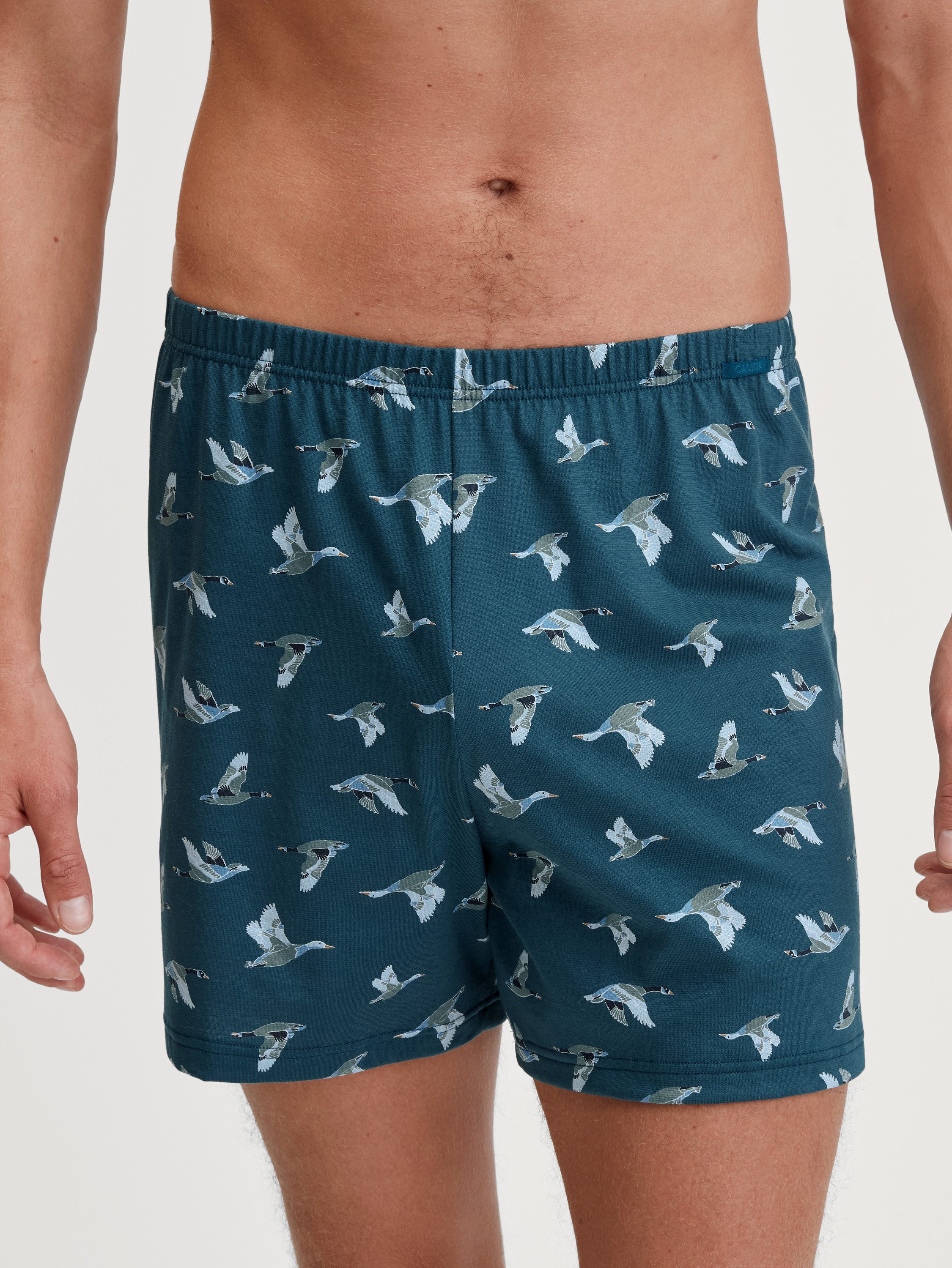 CALIDA Boxershorts Prints Herren (1-St) günstig online kaufen