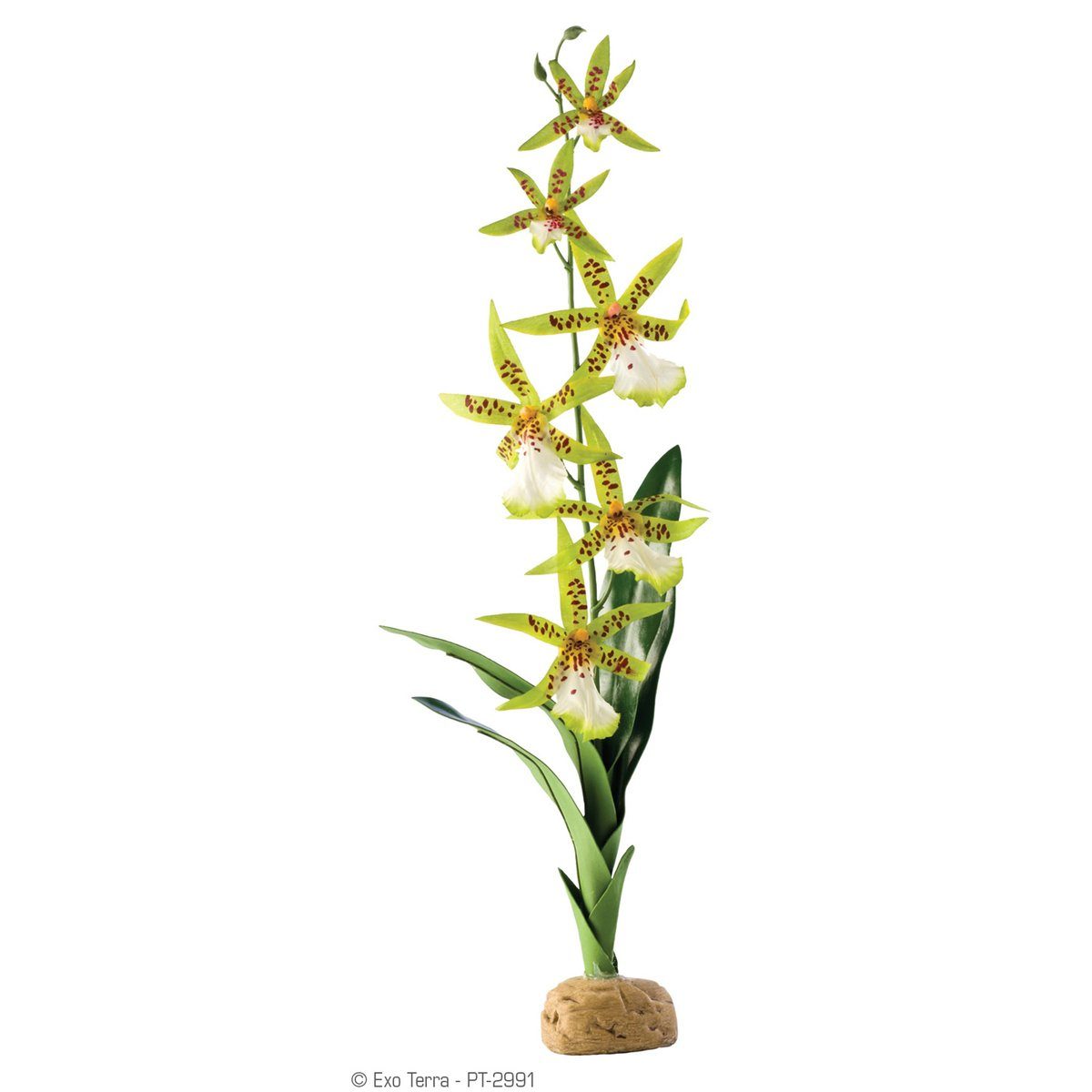 Terrariendeko Terrarien-Pflanze Spinnen Orchidee