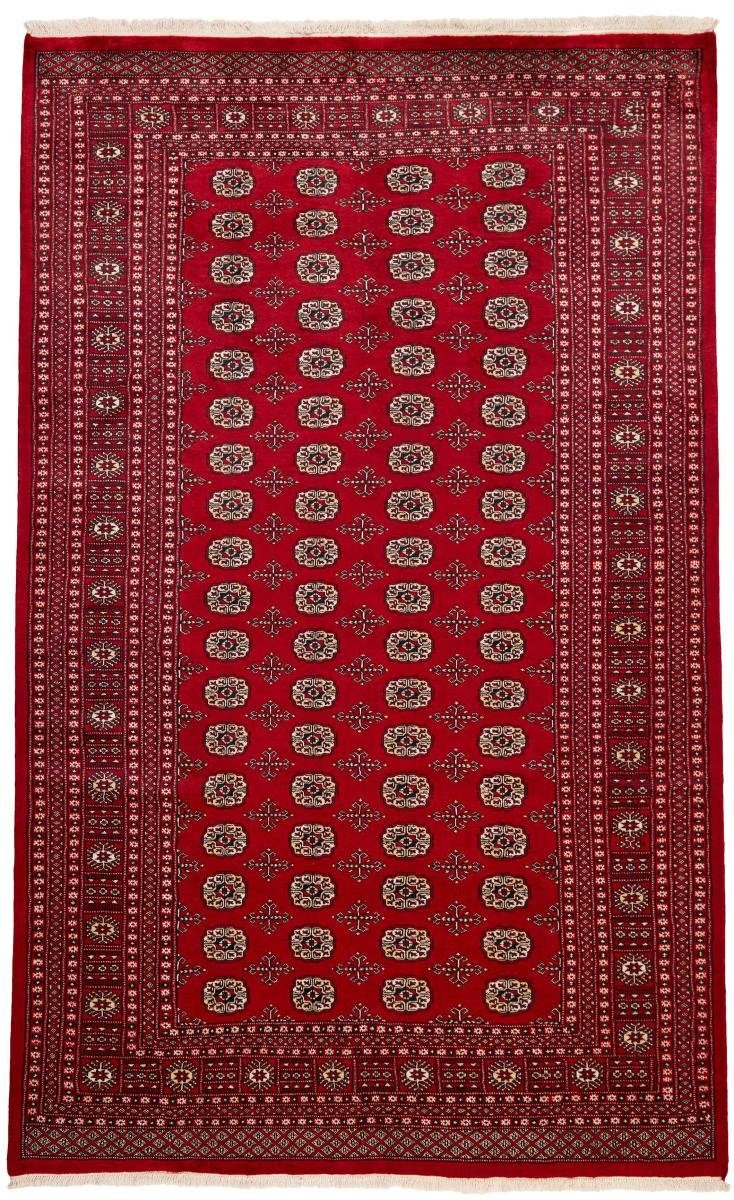 Orientteppich Pakistan Buchara 2ply 196x315 Handgeknüpfter Orientteppich, Nain Trading, rechteckig, Höhe: 8 mm