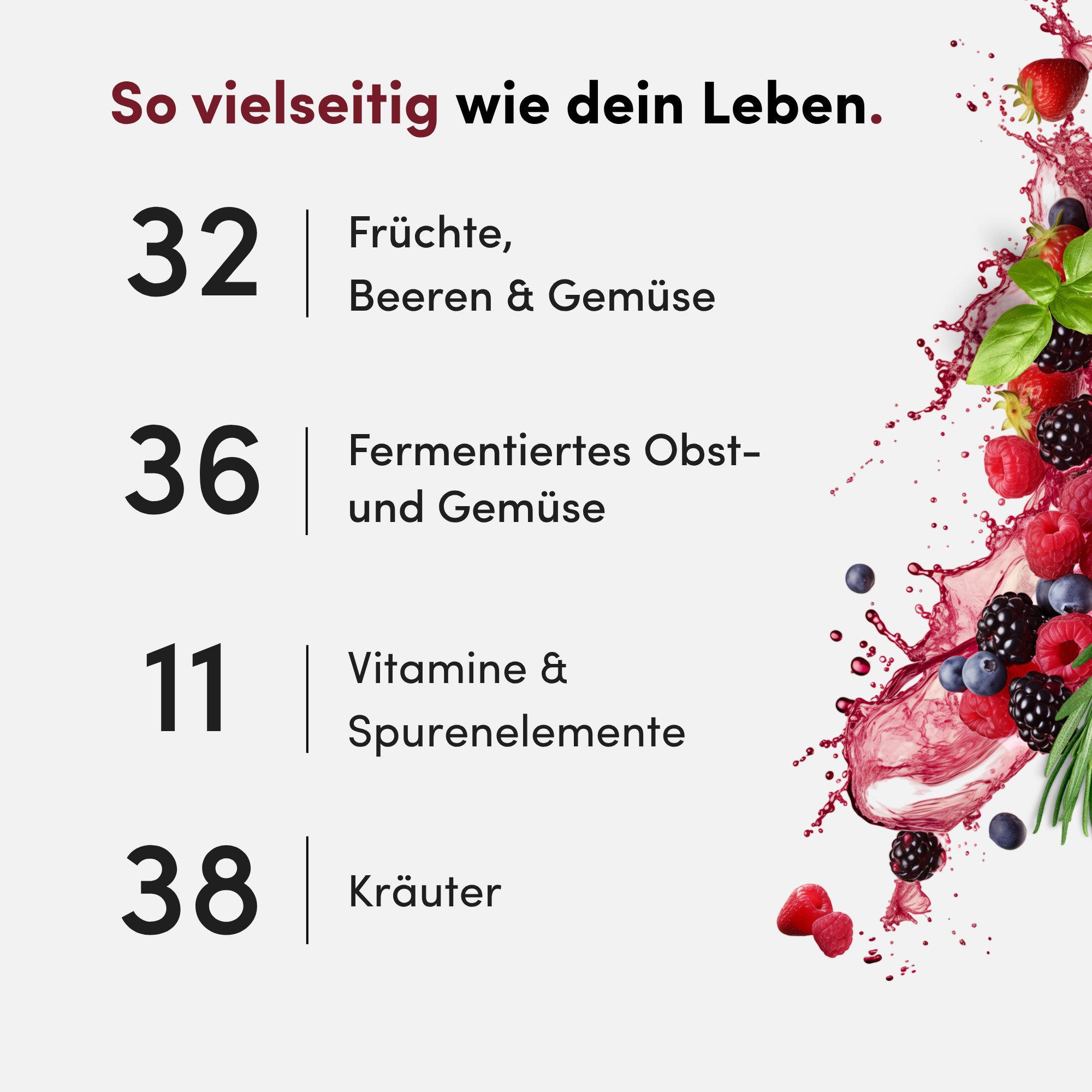 Vitabalance® Mikronährstoffkonzentrat mit 128 Zutaten für tägliche Versorgung Flüssig, Mit 128 Zutaten, darunter 36 fermentierte Obst- und Gemüsesorten