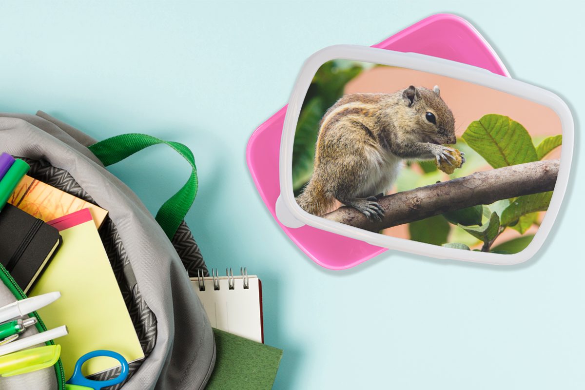 MuchoWow Lunchbox gestreiftes Brotdose Eichhörnchen, für Kunststoff Braun Mädchen, Kinder, Brotbox Snackbox, Kunststoff, (2-tlg), Erwachsene, rosa