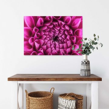 wandmotiv24 Leinwandbild Blume Blüte rosa Chrysantheme, Blumen und Pflanzen (1 St), Wandbild, Wanddeko, Leinwandbilder in versch. Größen