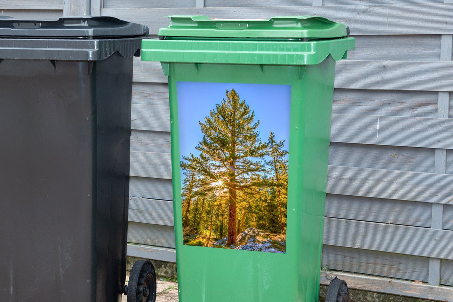 den Mülleimer-aufkleber, Wandsticker im Sequoia im Vereinigten in Sonne Winter MuchoWow Park (1 Staaten Mülltonne, Container, St), Sticker, National Abfalbehälter