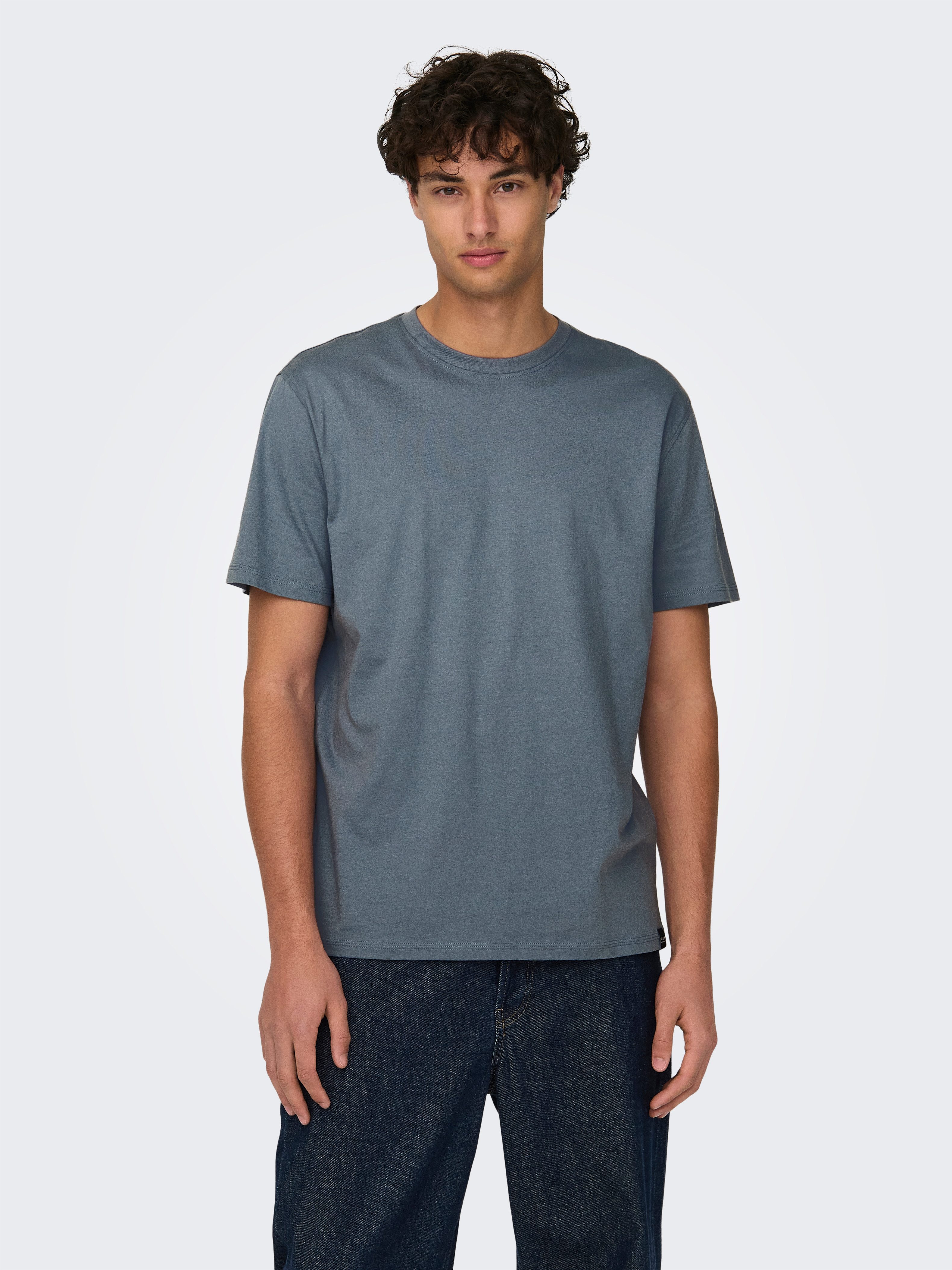 ONLY & SONS Rundhalsshirt ONSMAX LIFE günstig online kaufen