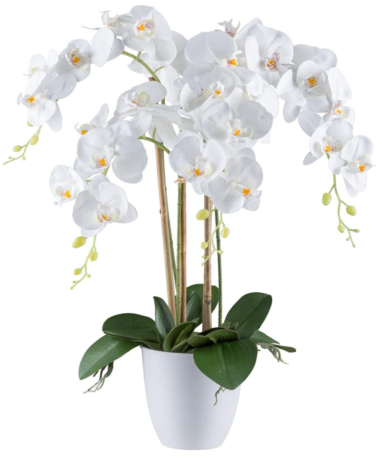 Kunstblume Orchidee, Gasper, Höhe 62 cm, im Topf, Weiß, Orchidee, H: 62cm